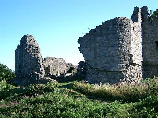 http://www.ecastles.co.uk/caergwrle.html