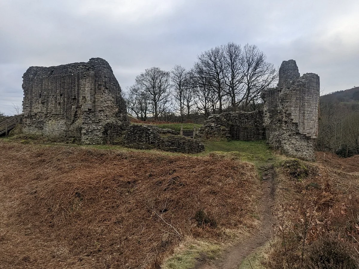 https://www.tripadvisor.co.uk/Attraction_Review-g1473593-d23876232-Reviews-Castell_Caergwrle-Caergwrle_Flintshire_North_Wales_Wales.html