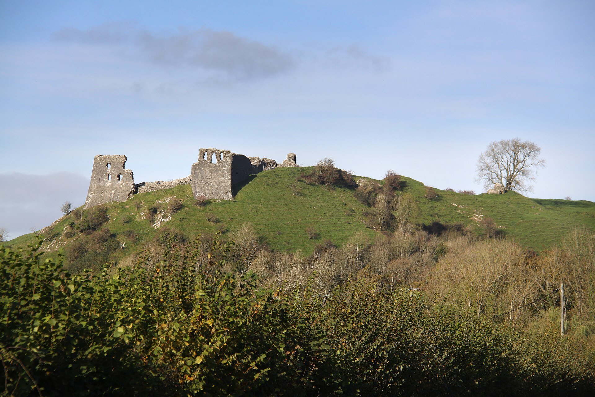 https://en.wikipedia.org/wiki/Dryslwyn_Castle#/media/File:Dryslwyn_Castle_Capt'_Gorgeous_-_31725052228.jpg