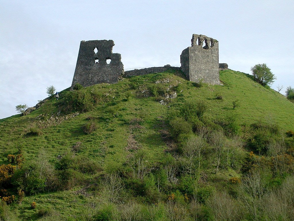 https://www.castlewales.com/dryslwyn.html