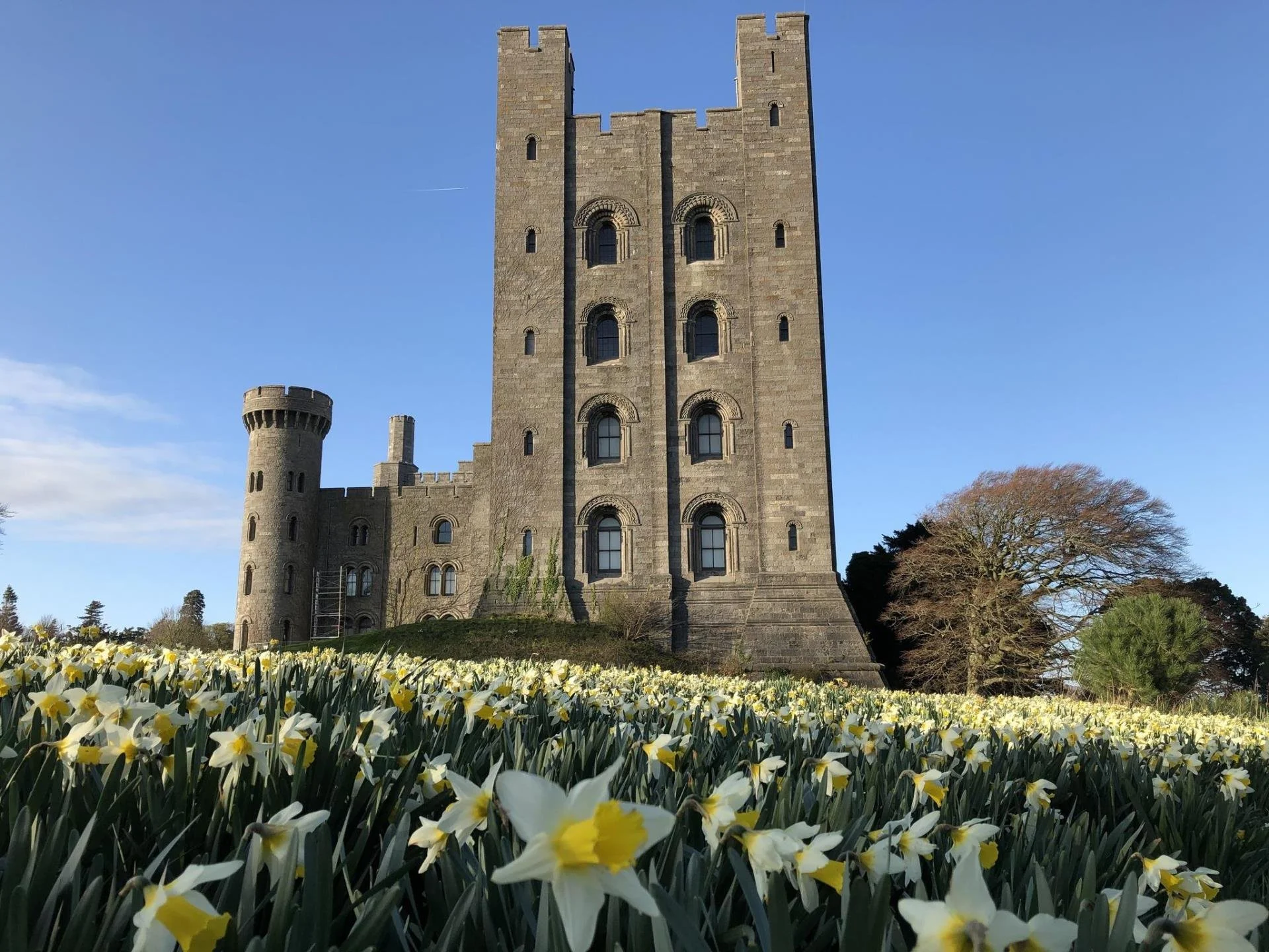 https://www.visitwales.com/attraction/castle/penrhyn-castle-912481