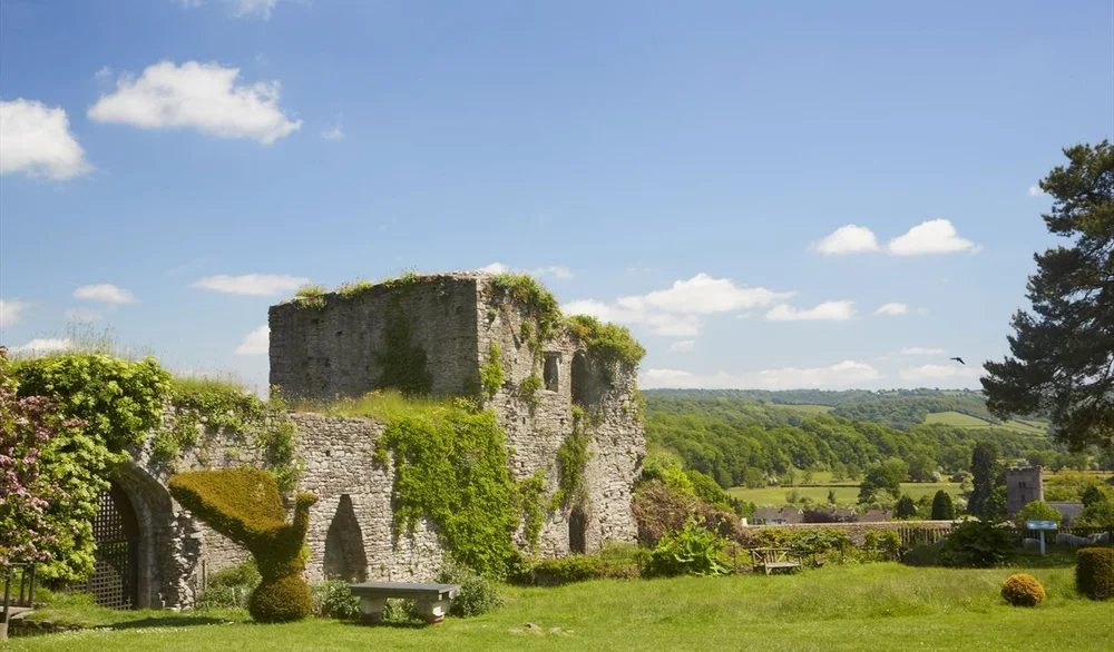   https://www.visitmonmouthshire.com/things-to-do/usk-castle-p1502891  