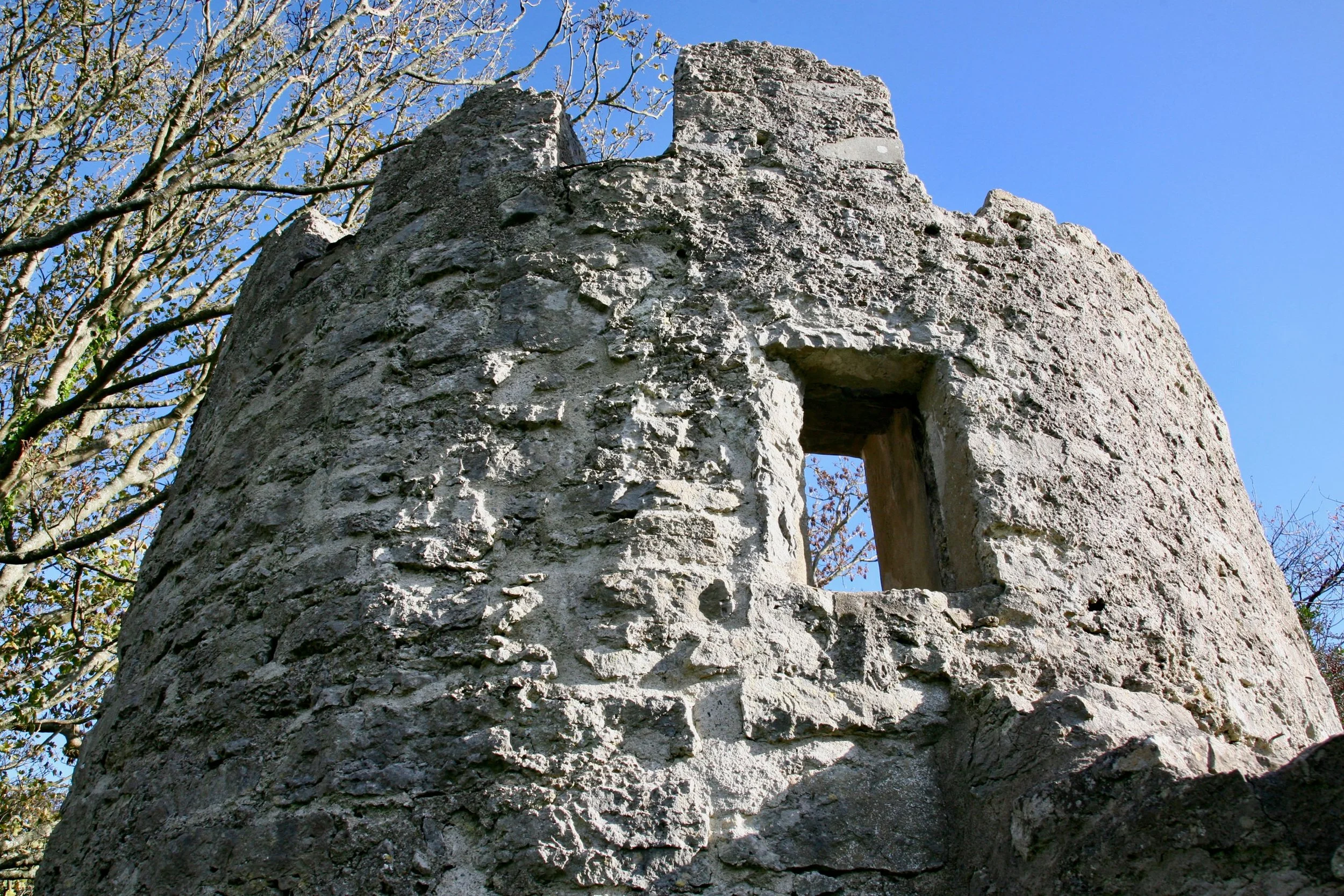   https://www.visitanglesey.co.uk/en-gb/explore/aberlleiniog-castle  