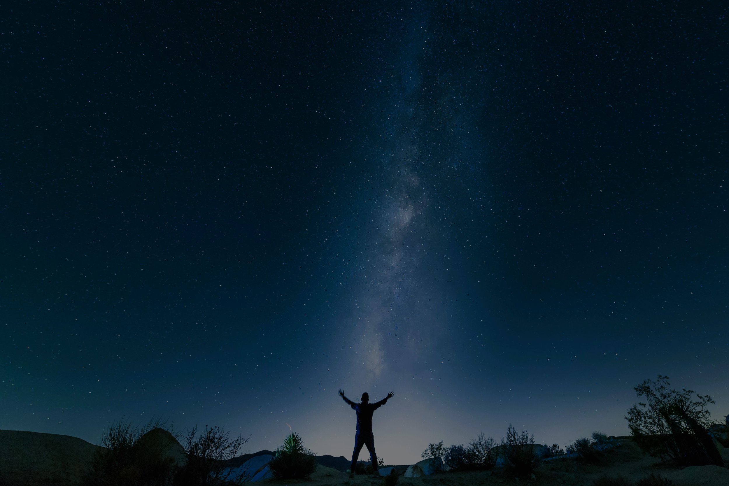 Reclaiming Voice 