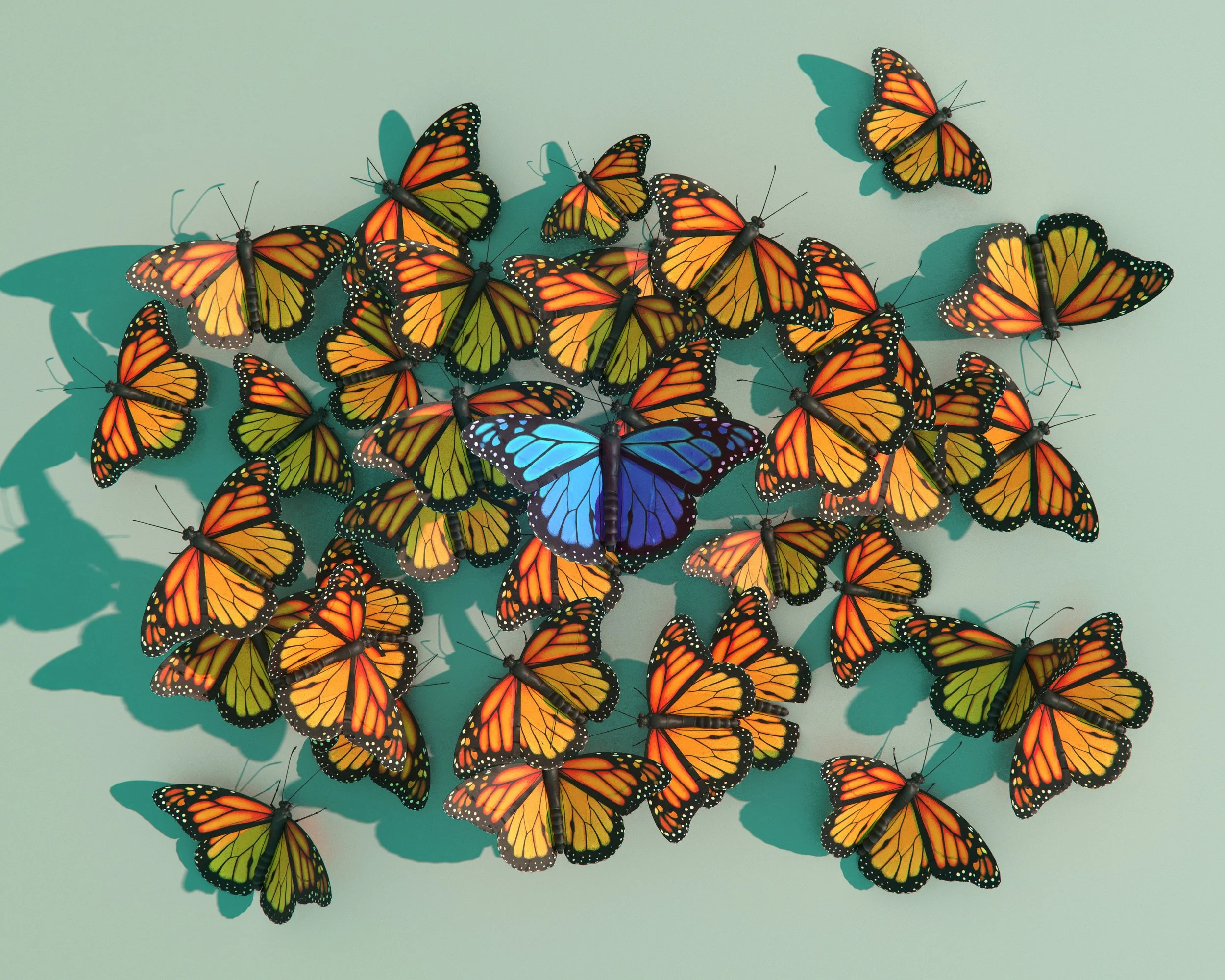 ✦ On belonging: 012