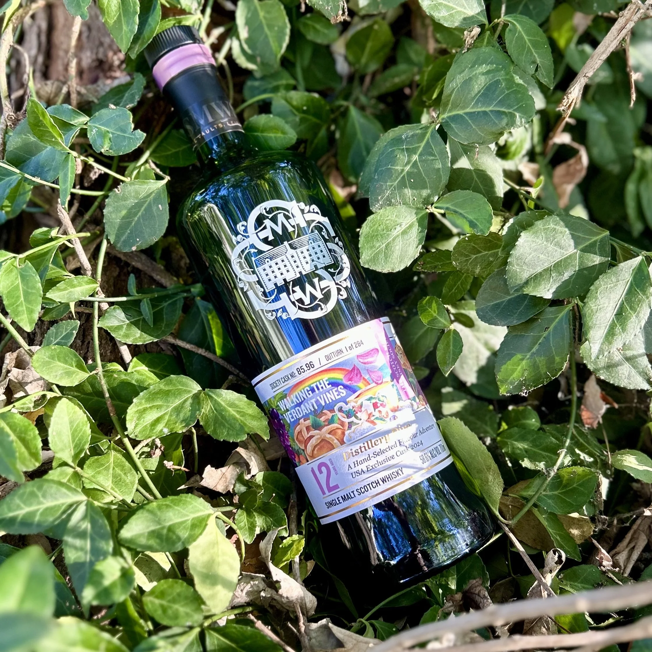 Review #676 - SMWS 85.96 'Walking the Verdant Vines' - Glen Elgin 12 Year