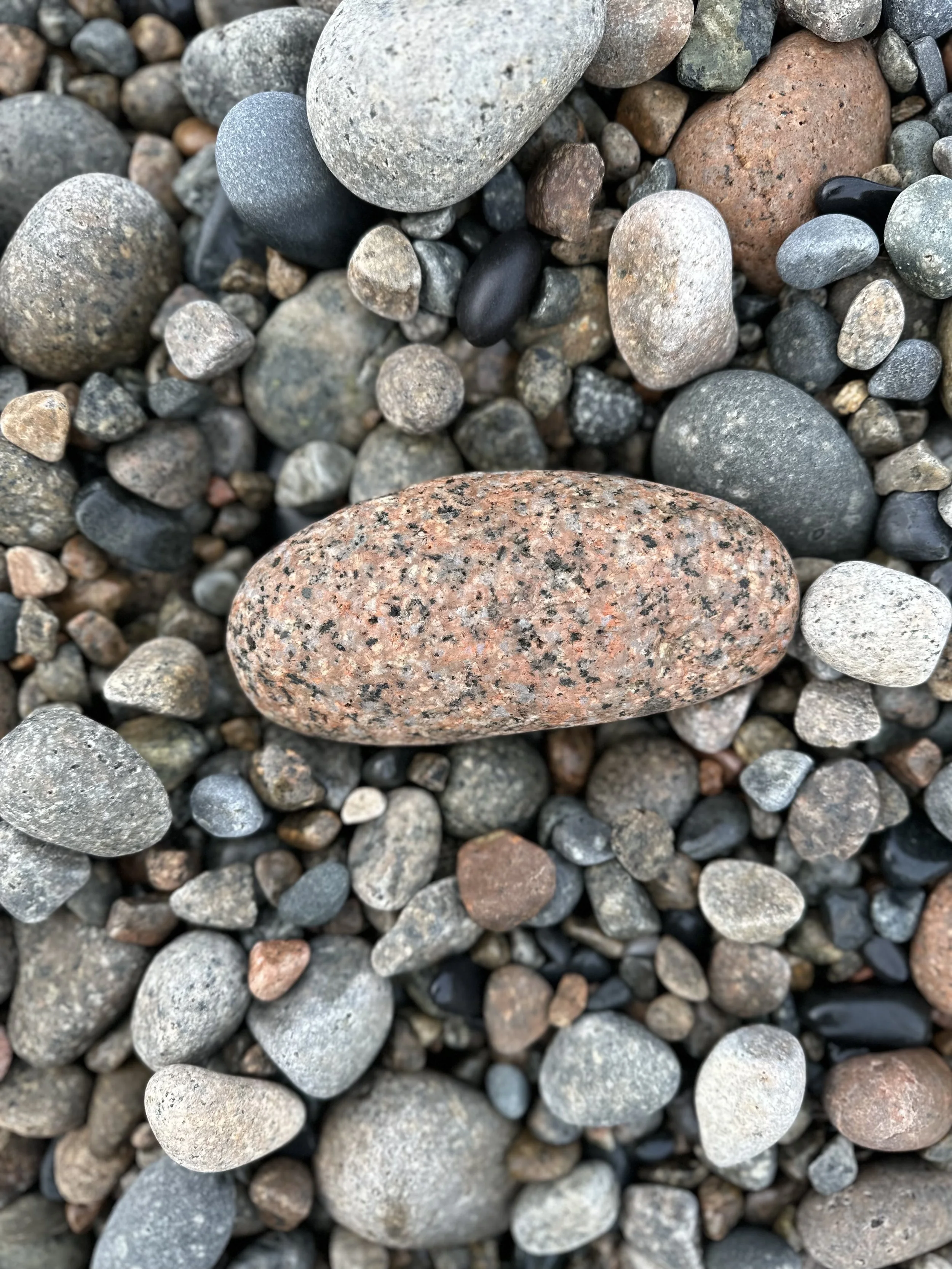 Finding Our Way Back From Numbness, Overwhelm, and “Why Try?”