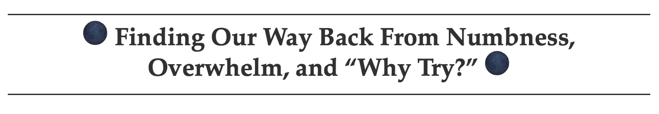 Screenshot 2026-01-02 at 6.37.06 PM.png