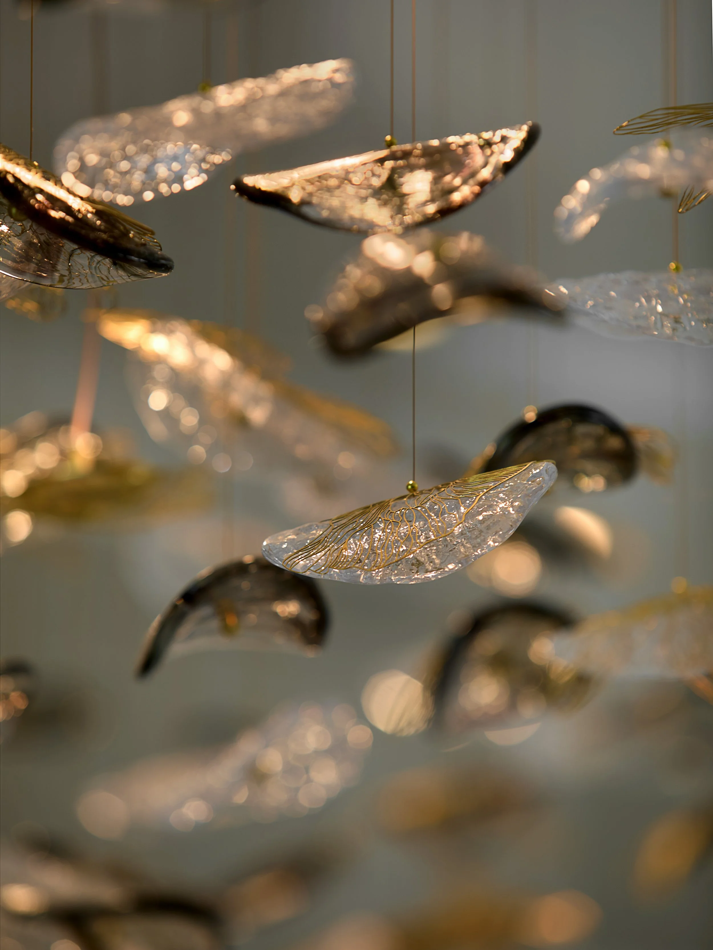 glass sculptural lighting installation called 'Movement of Matter' 
