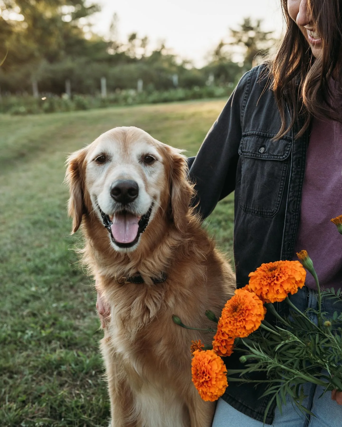 Mumford is here to tell you that tomorrow is our LAST MARKET OF THE SEASON! 🥲 I can&rsquo;t believe fresh flower season has already come &amp; gone. If you&rsquo;ve been hoping to make it to the market and would like to take home some of our flowers