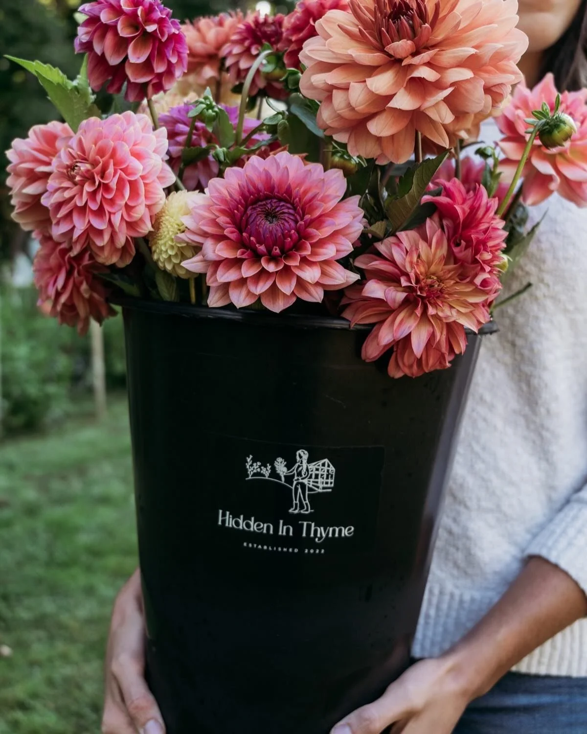 Our dahlia tuber sale is just DAYS away ✨🥔
Inventory is complete, and our website now reflects the varieties that will be available in our first release. (link in bio) 

Some varieties are being held back for our restock sale in March, and we&rsquo;