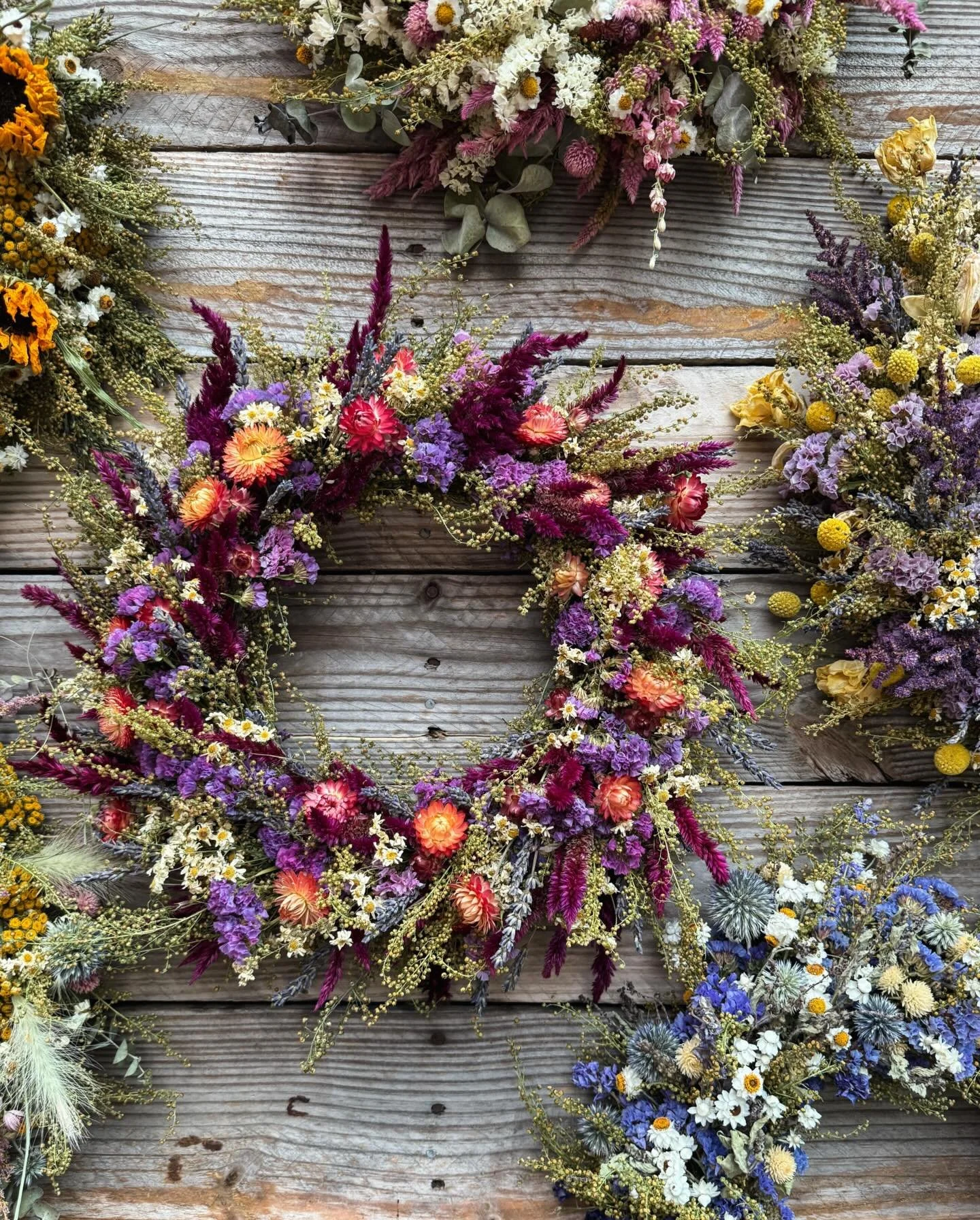 our 2025 dried floral wreath collection is complete &amp; ready for preview on our website ✨

These dried florals have lived a whole season with me. Grown from seed, harvested by hand, bundled and hung to dry until the busyness of the season slows an