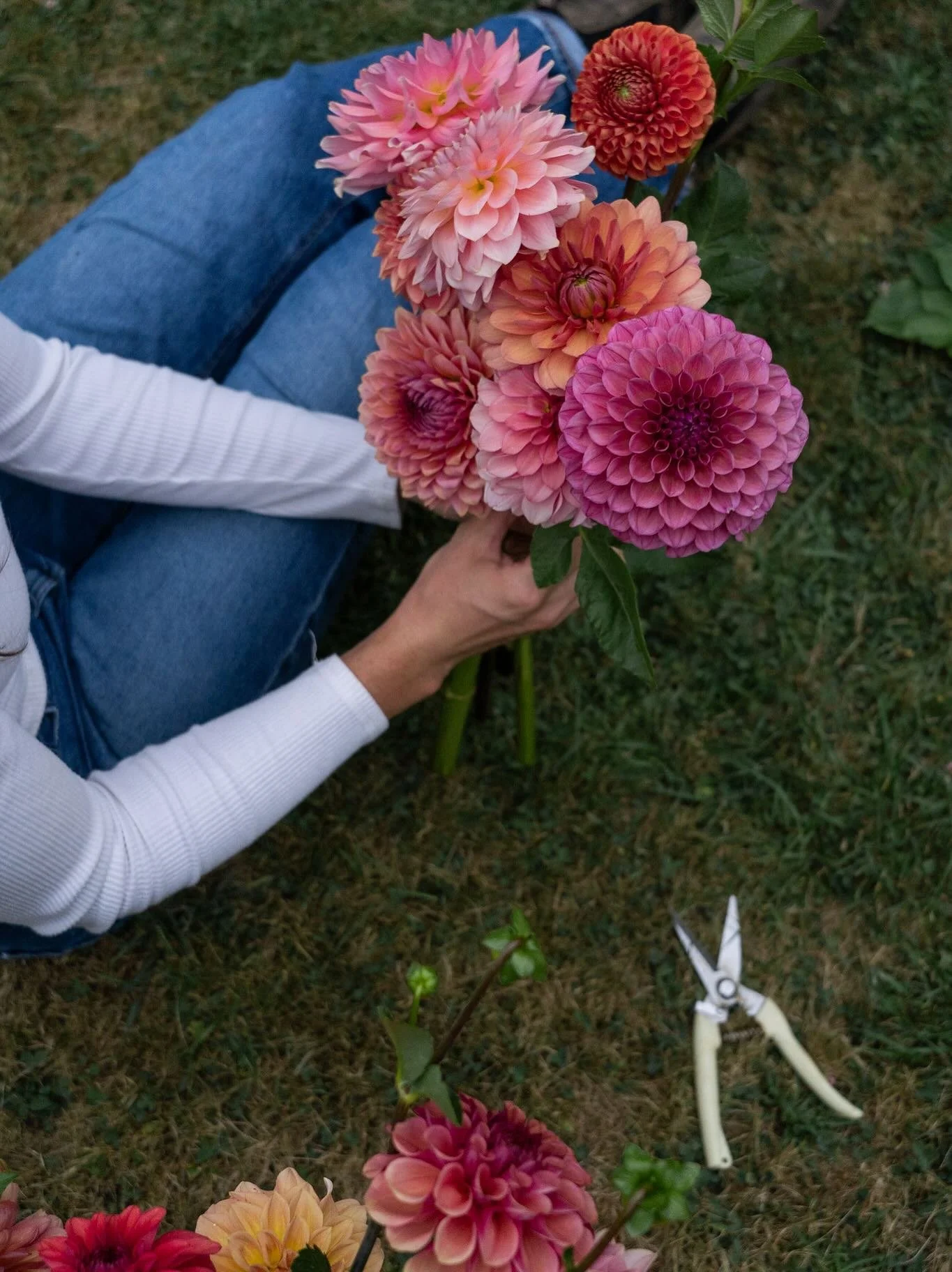 &ldquo;sorry, I can&rsquo;t&hellip; it&rsquo;s *finally* dahlia season&rdquo; ✨🌸 🥹 

IYKYK &mdash; soaking up EVERY SINGLE SECOND of these blooms and how can you blame me?! 

📸 : @brookeleephotos 

#dahlias #dahliasofinstagram #dahliafarm #dahlias