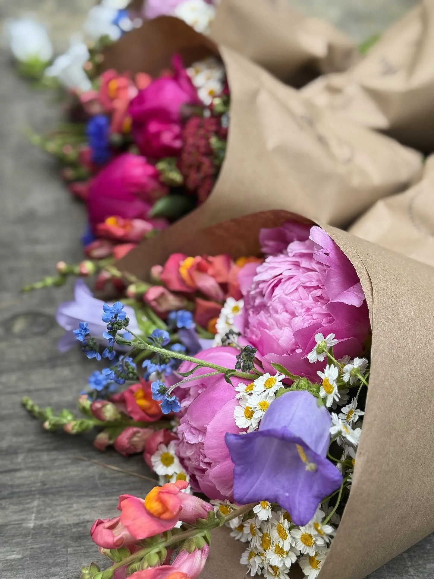 farmers market Saturday sneak peek&hellip; 👀✨🌸 

tomorrow we will be at the @oronofarmersmarket with loads of colorful mixed bouquets, 5 stem peony bunches (the very very last of our peonies!!), straight bunches of feverfew, bud vases &amp; honey! 