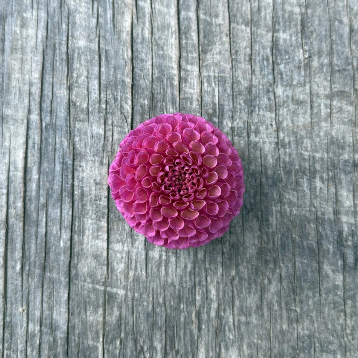 A8752D6B-2F17-4ED7-A298-C4C0483E83D2.png