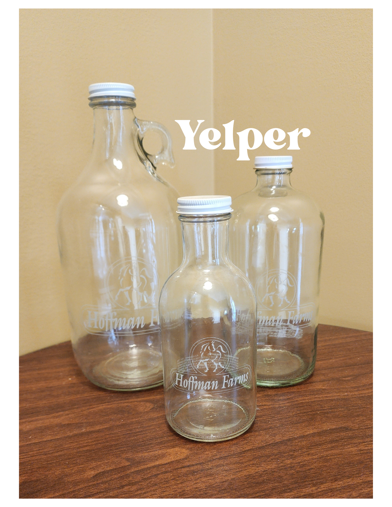 Yelper Files 62524.png