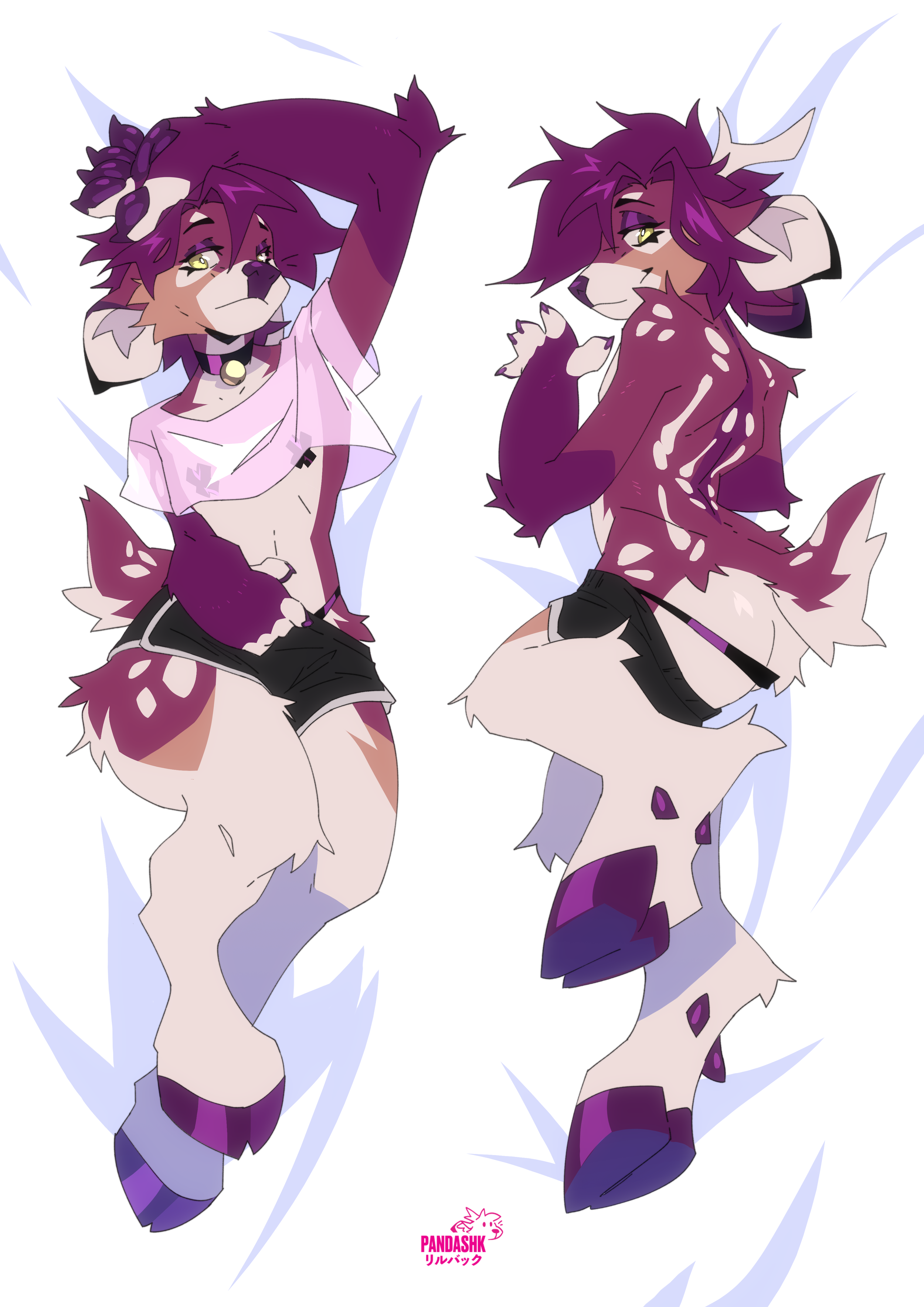 ash-daki2.png