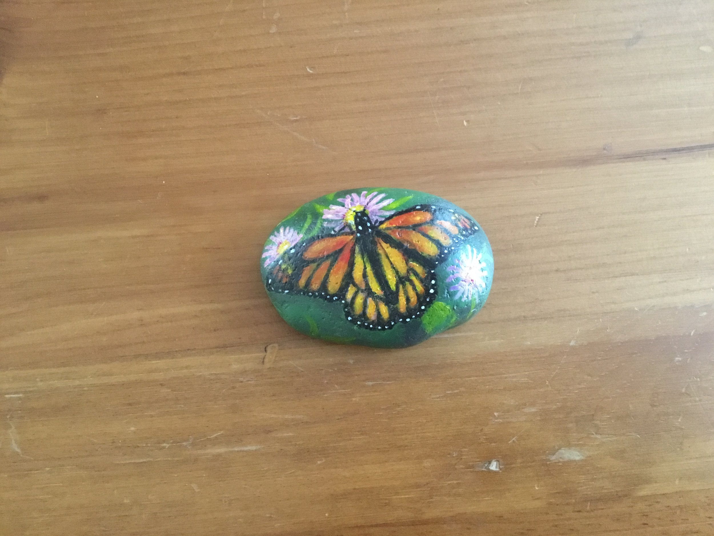 A Butterfly for Charlotte
