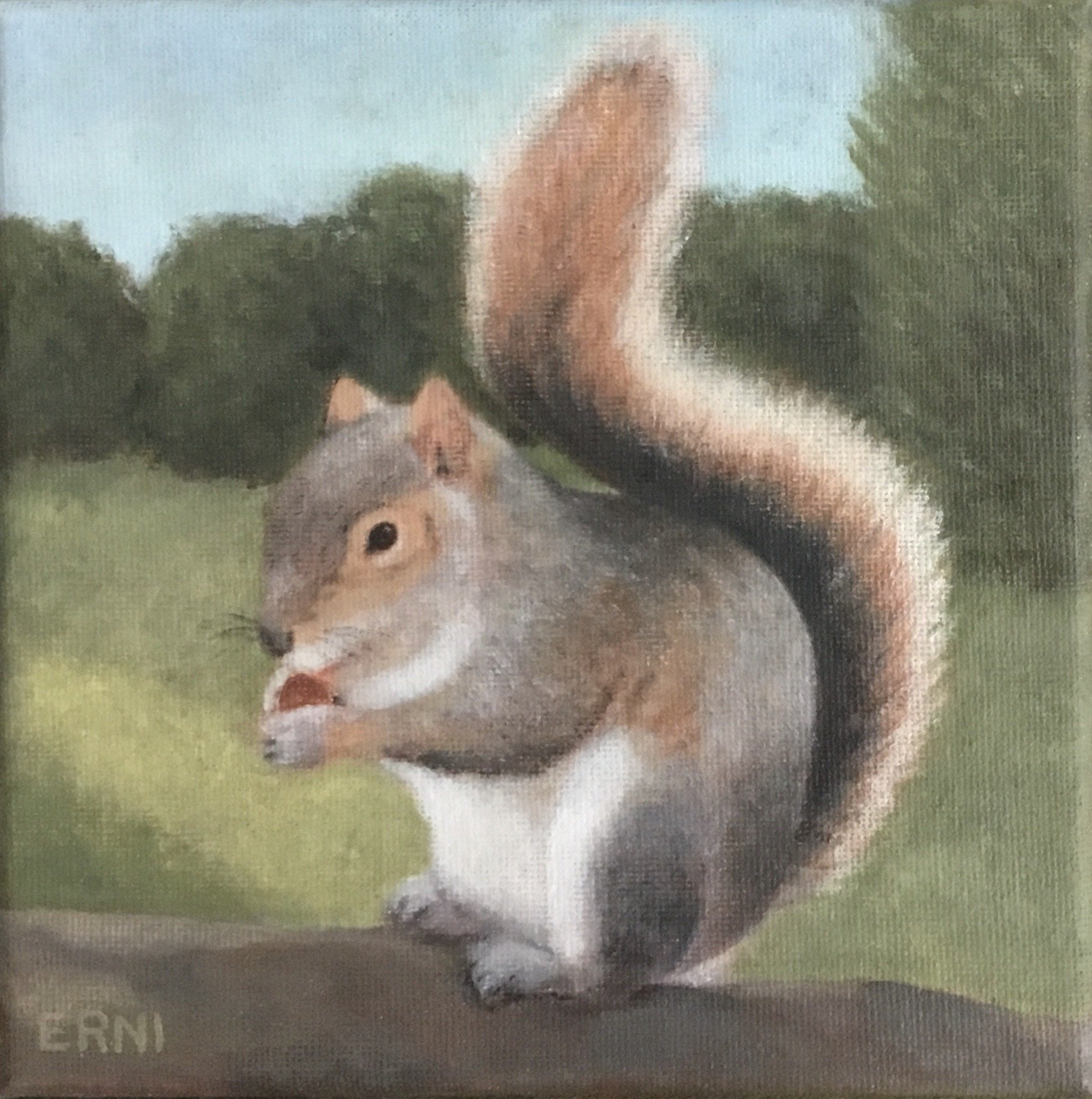 Grey Squirrel • 2024 • Oil on Canvas • 6”X6” • Donated