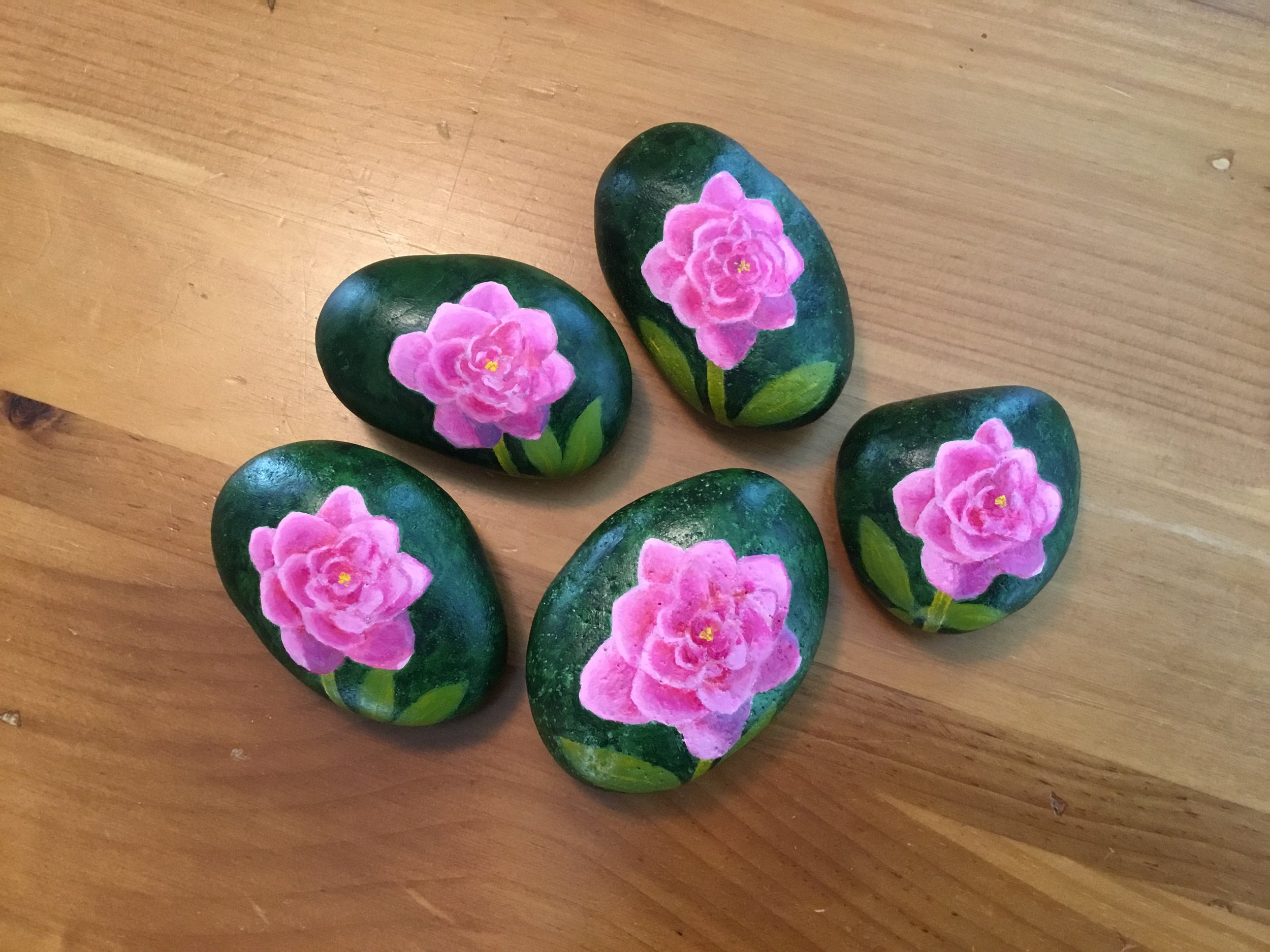 Rocks Given to People I have been Especially Grateful