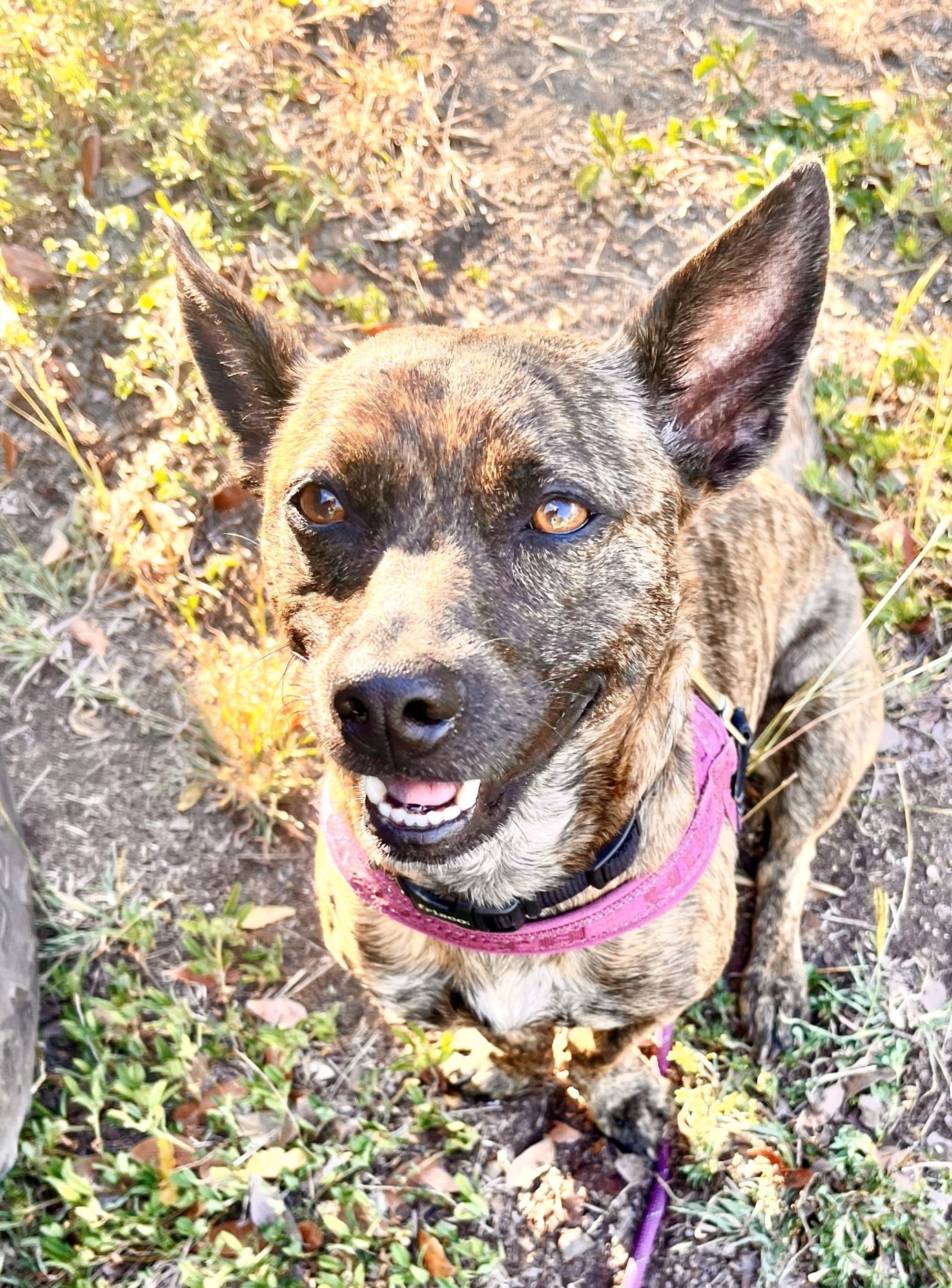 pasted image 0 (1).jpg