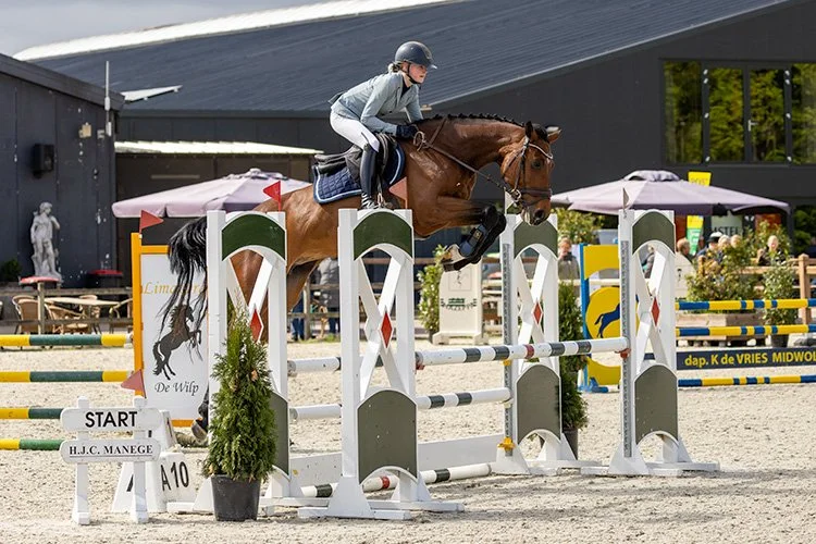 IMG_3728 S.JPG
