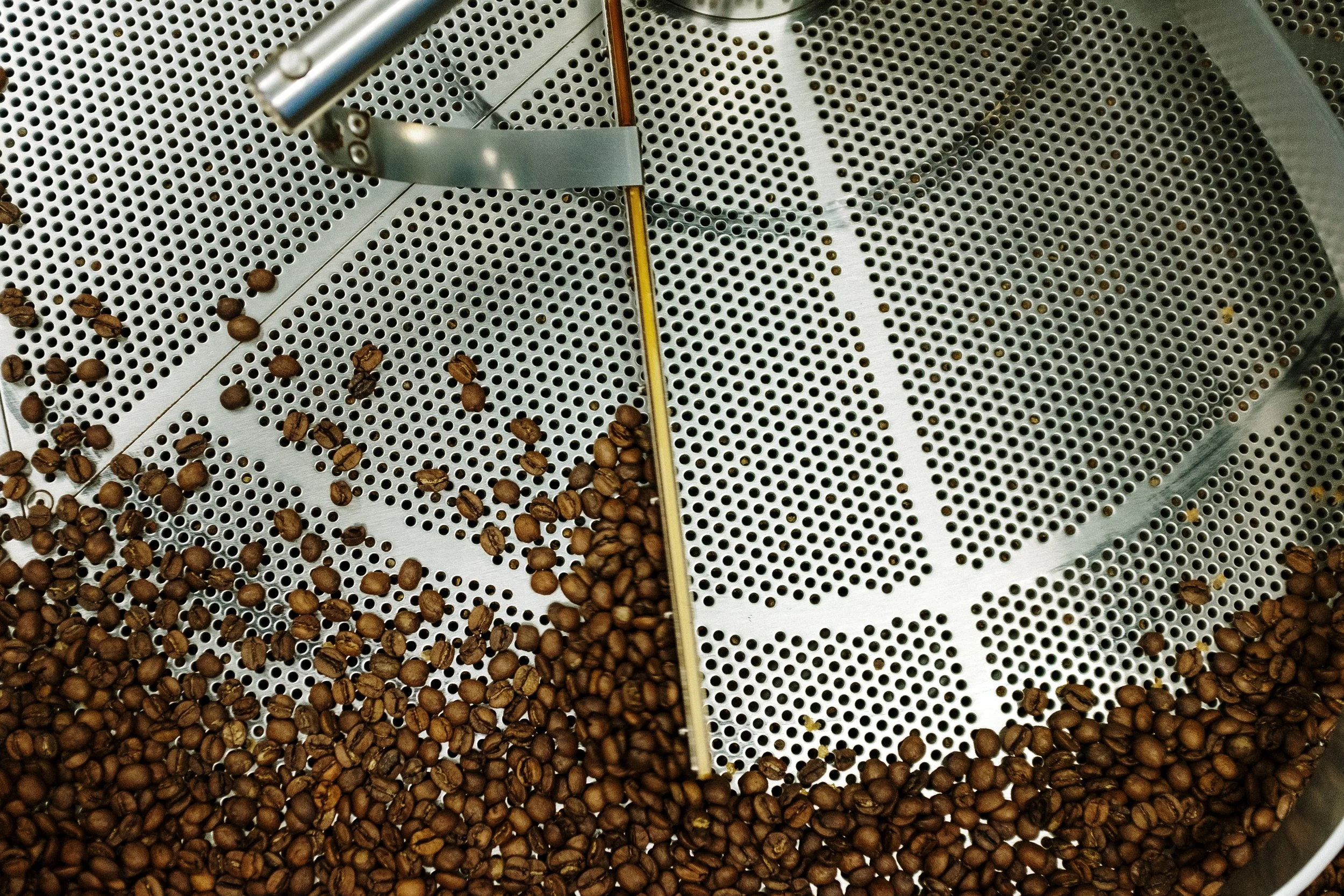 Freshly roasted coffee beans on a metal tray