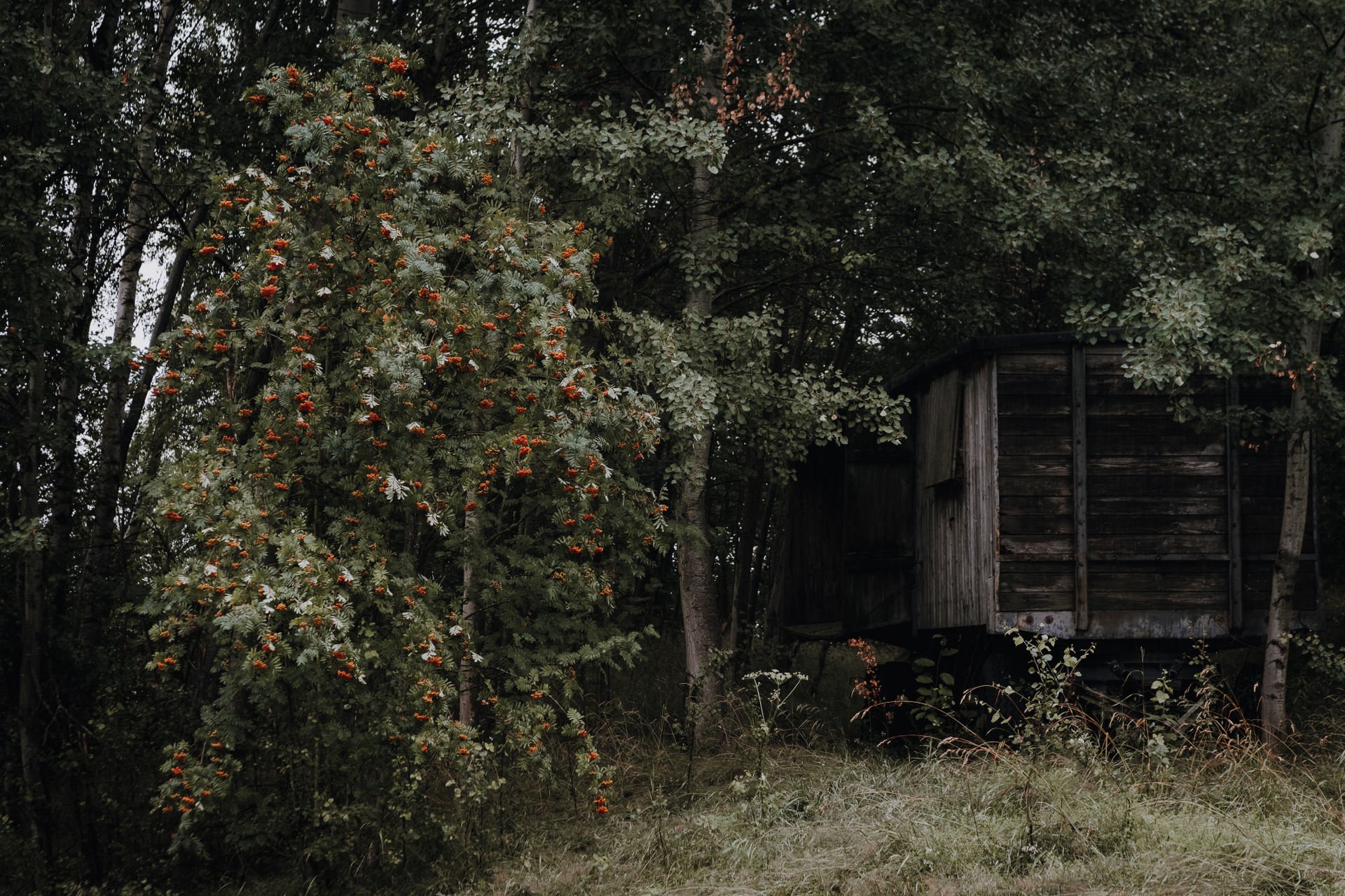 14 - zwischen_erbe_und_wandel©susann_bargas_gomez-14.jpg