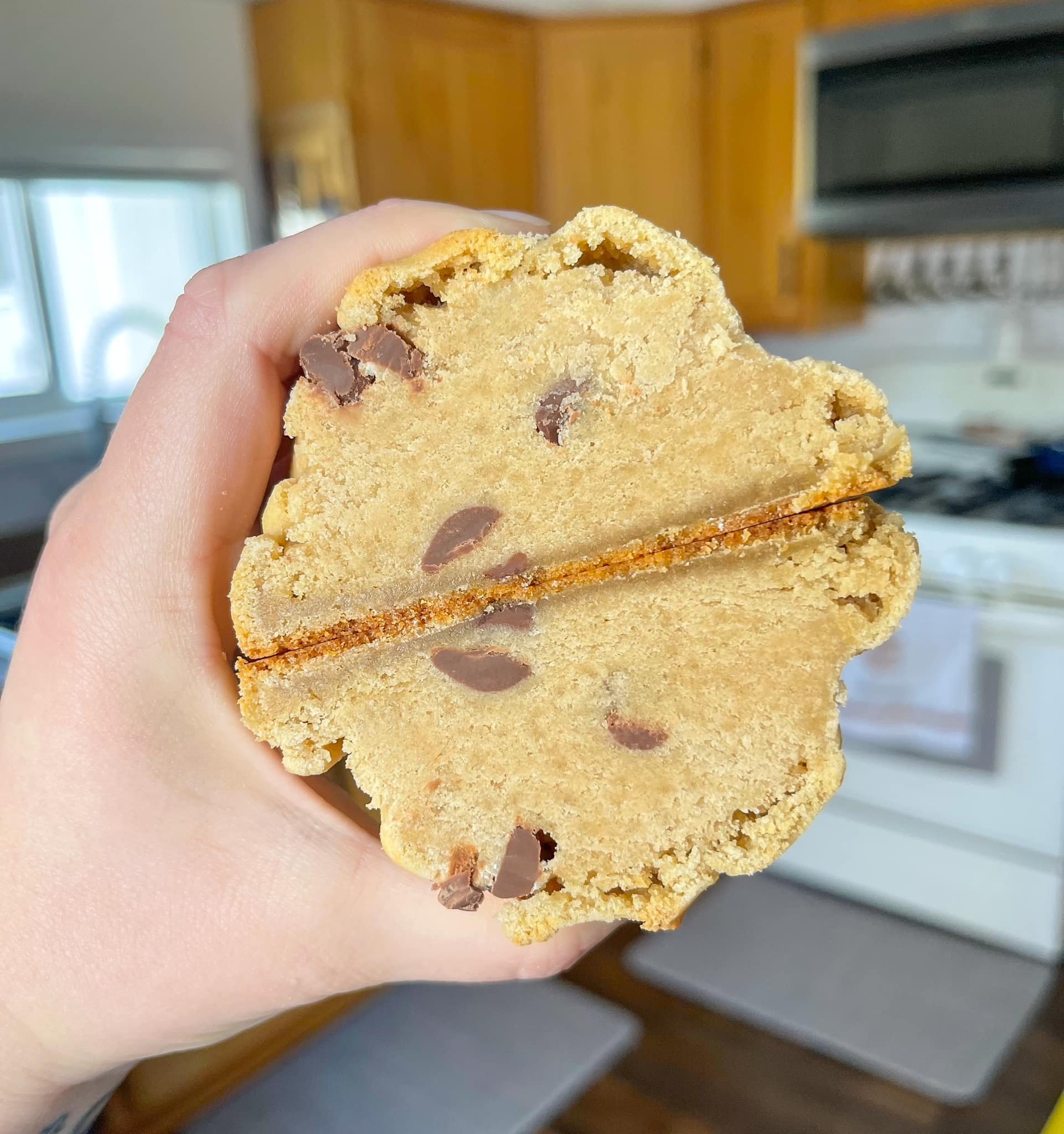 chocolate chip 2.jpeg