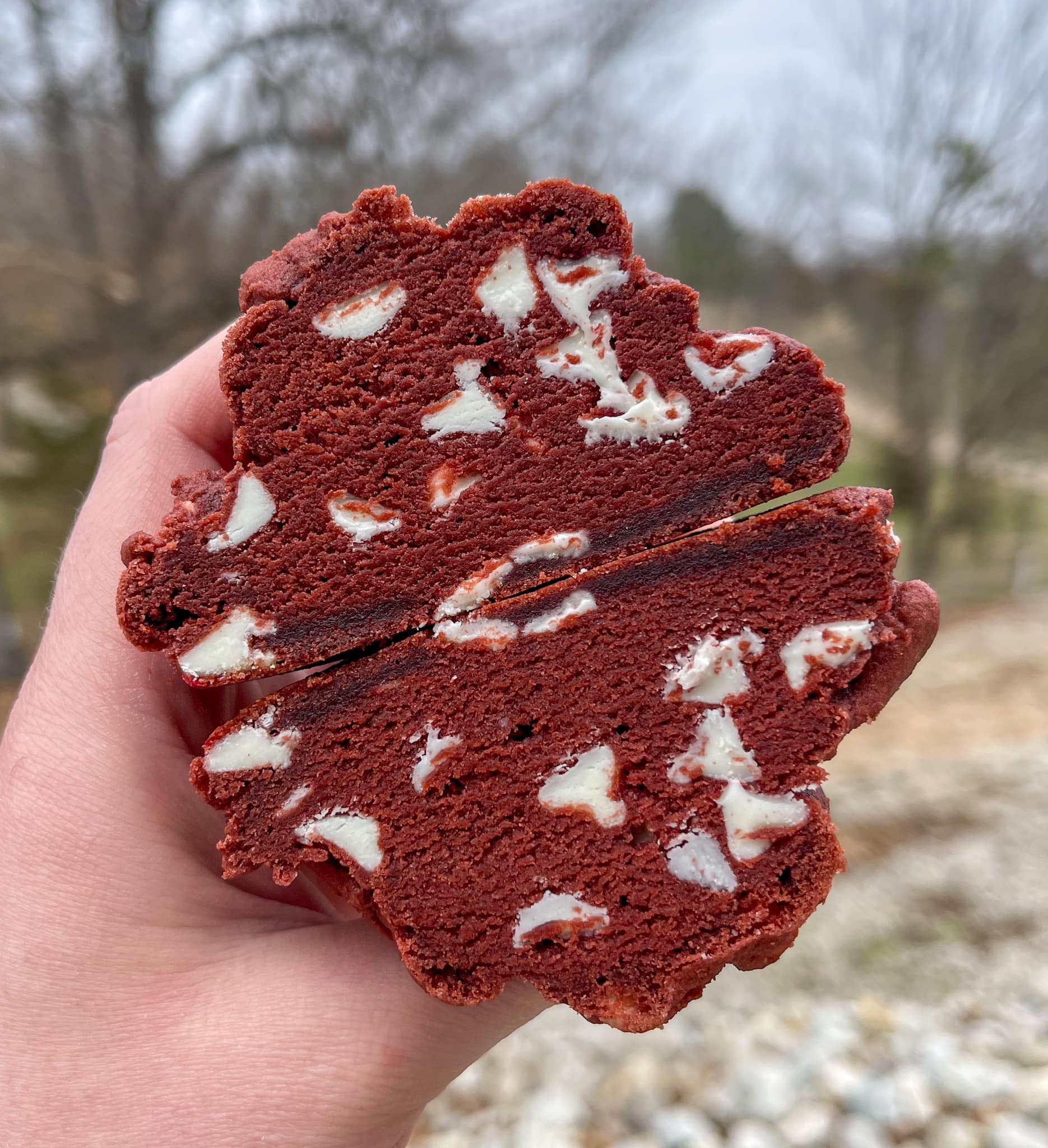 red velvet.jpeg