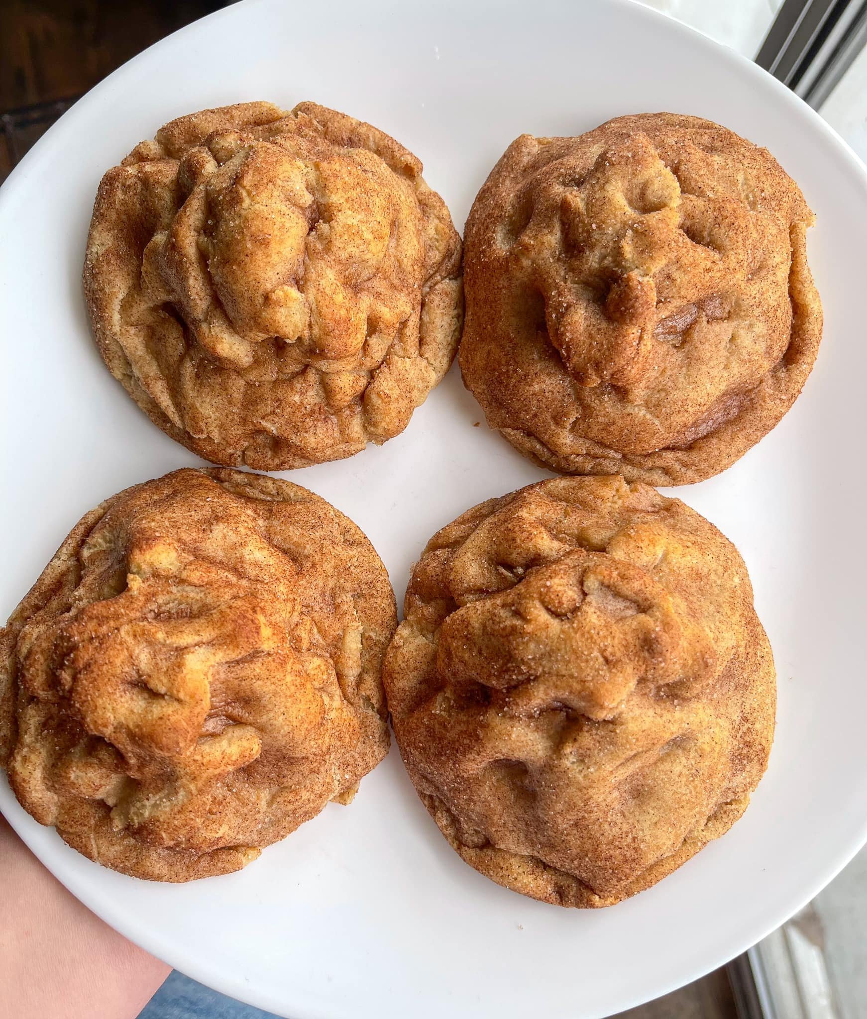 snickerdoodle.jpeg