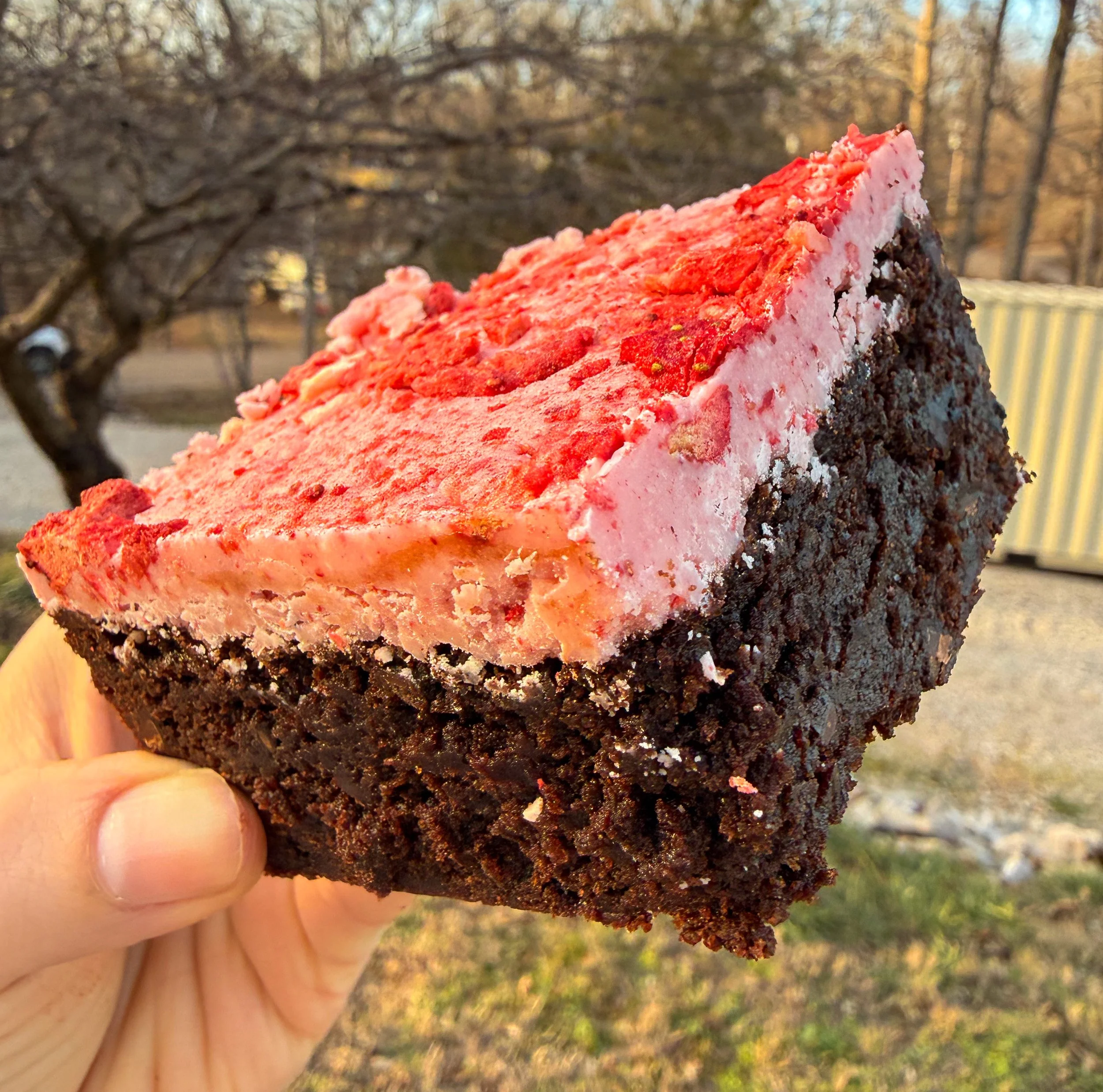 Chocolate Covered Strawberry Brownie Recipe | Courtney's Cookies and Creations Recipes