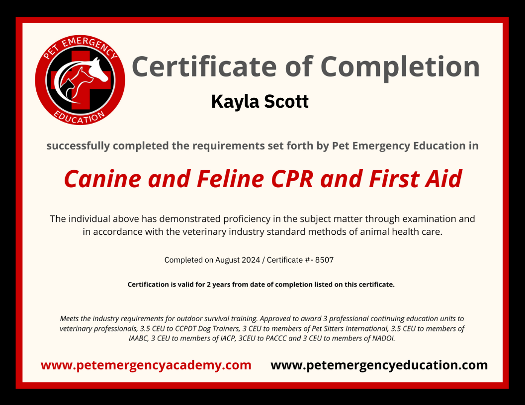 Certificate of Completion for Pet Emergency Education awarded to Kayla Scott for Canine and Feline CPR and First Aid training, valid for 2 years, completed August 2024.