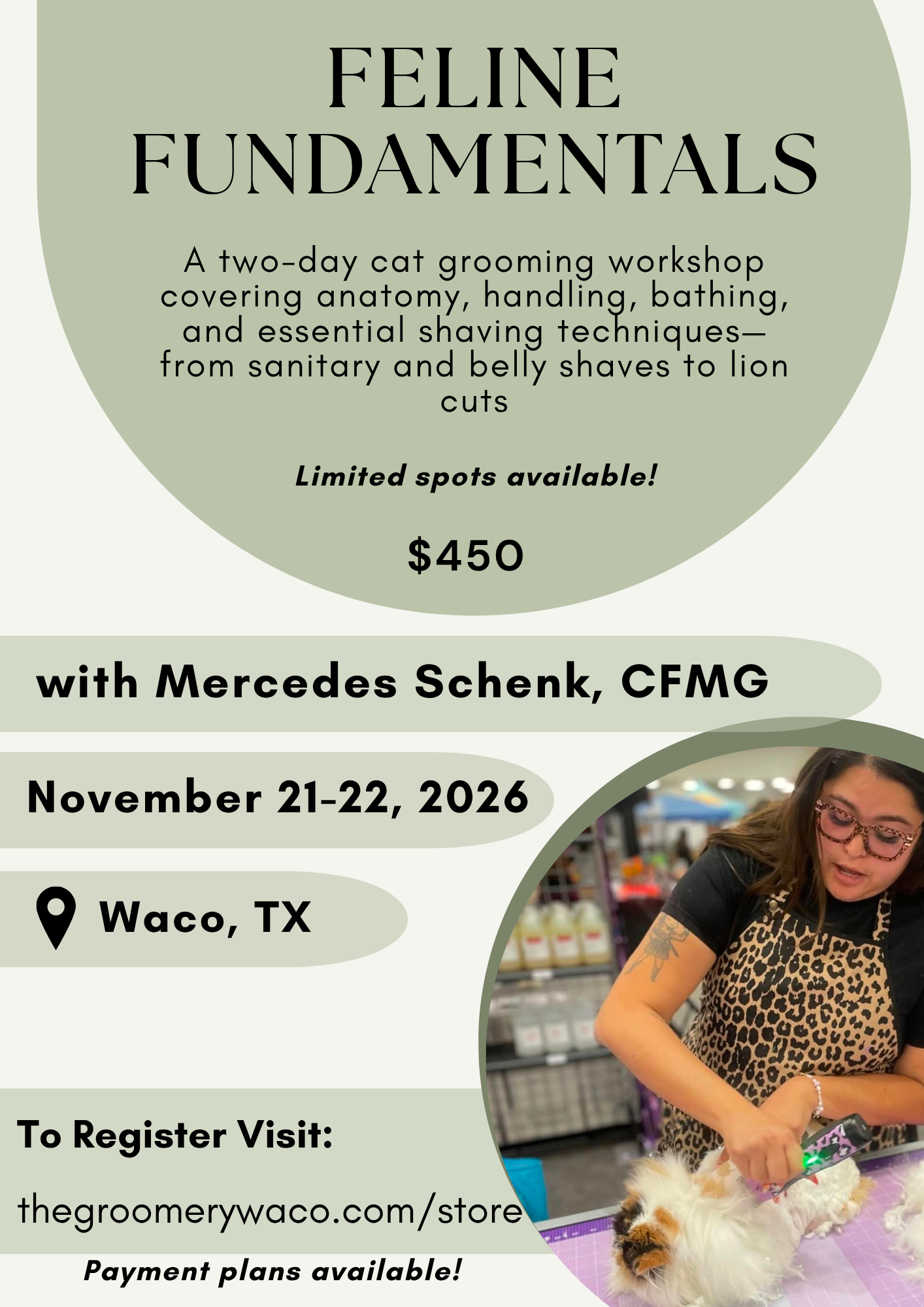 Mercury Cat Grooming Class flyer (1).png