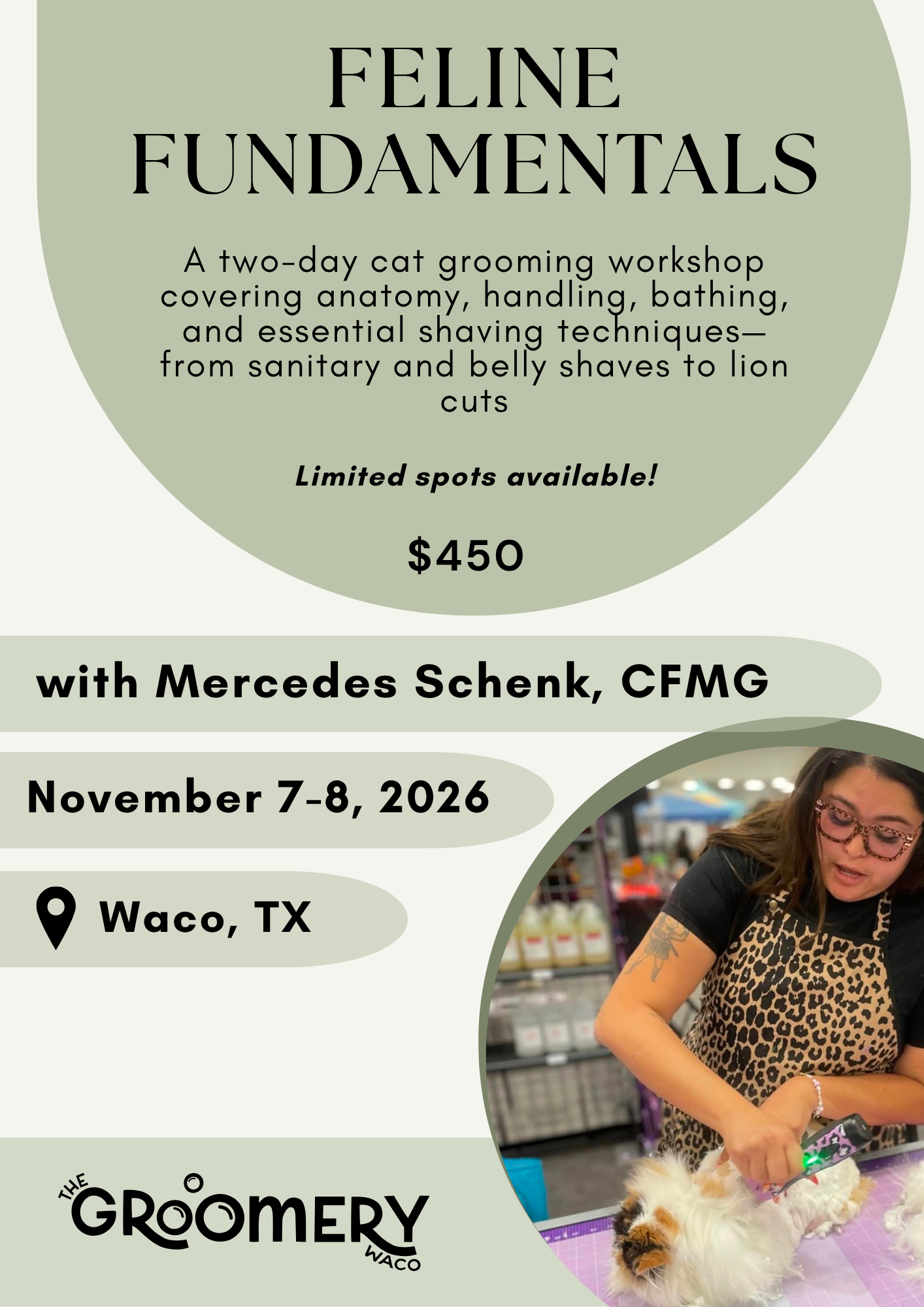 Mercury Cat Grooming Class flyer (4).png
