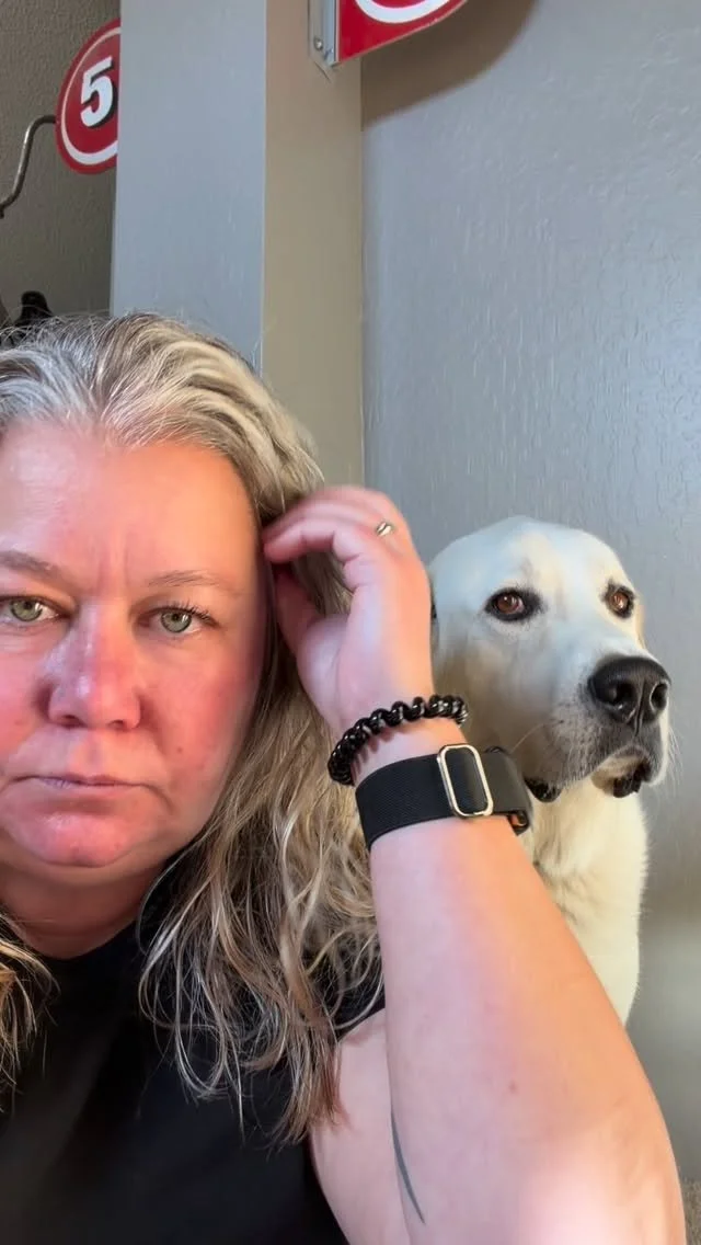 All I wanted to do was an introduction - and holy moly - the side-eye from this dog 😂😒
#firstrespondertherapydog #firstrespondertherapydogs #therapydog