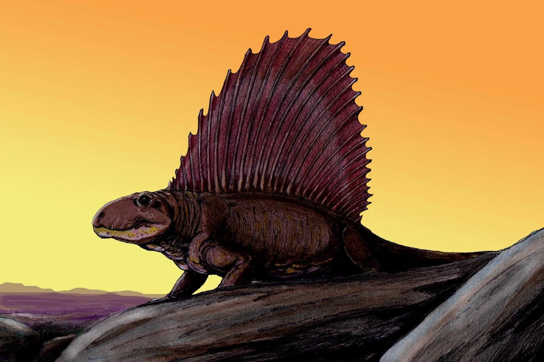 What is a Dinosaur, Really?