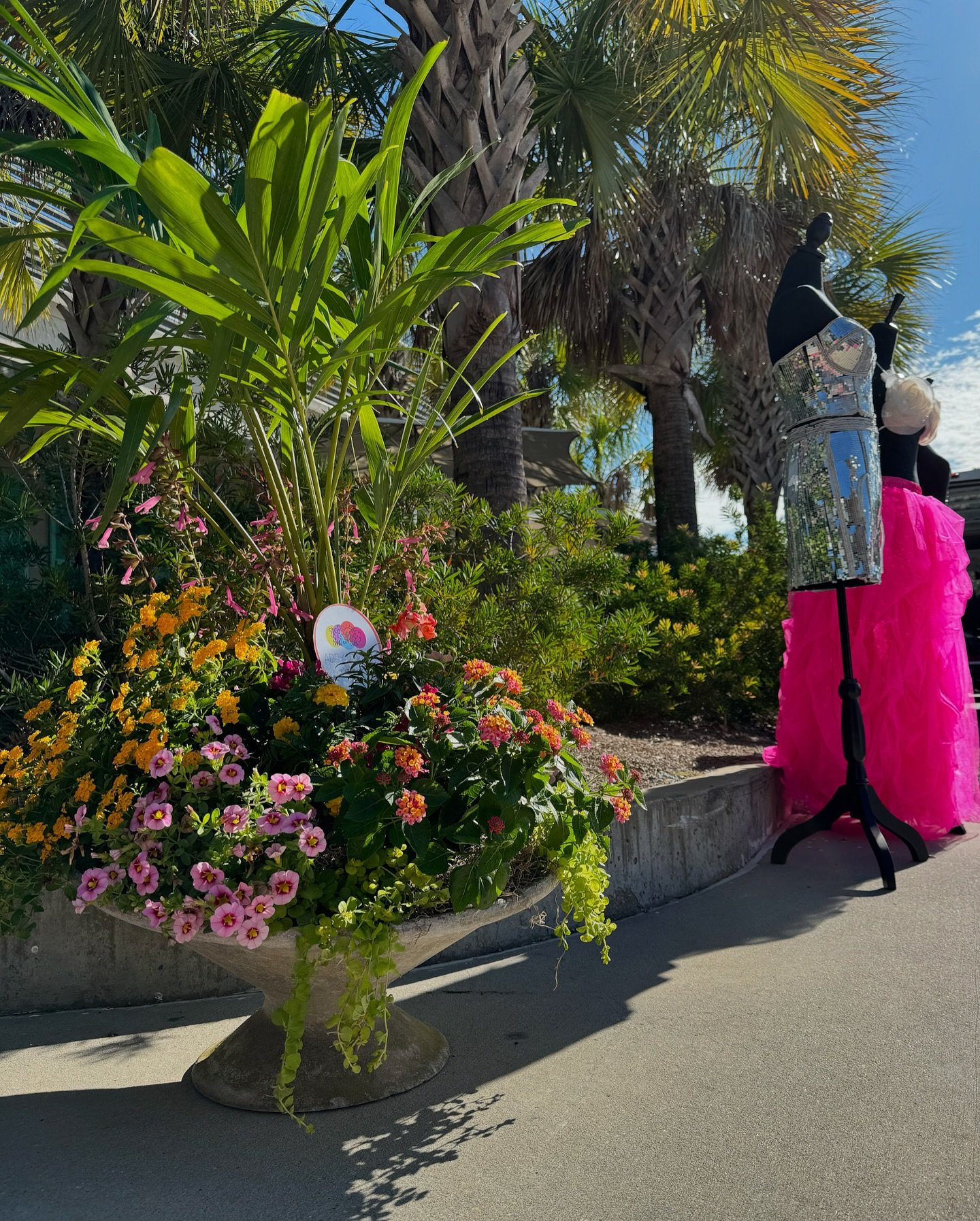 Last week&rsquo;s finished product plantings at the fabulous @fleurdebra fundraiser! These chic vintage planters sourced by @gossdesigns were such a treat to plant in. I loved being involved in this year&rsquo;s event!