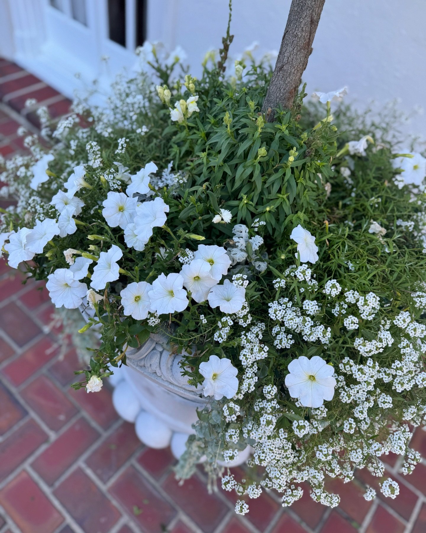 When the @smithsoniangardens comes to photograph your clients garden, no pot goes unplanted! I loved prepping and styling my client&rsquo;s yard for such a tremendous honor to be featured in their Archive of American Gardens!