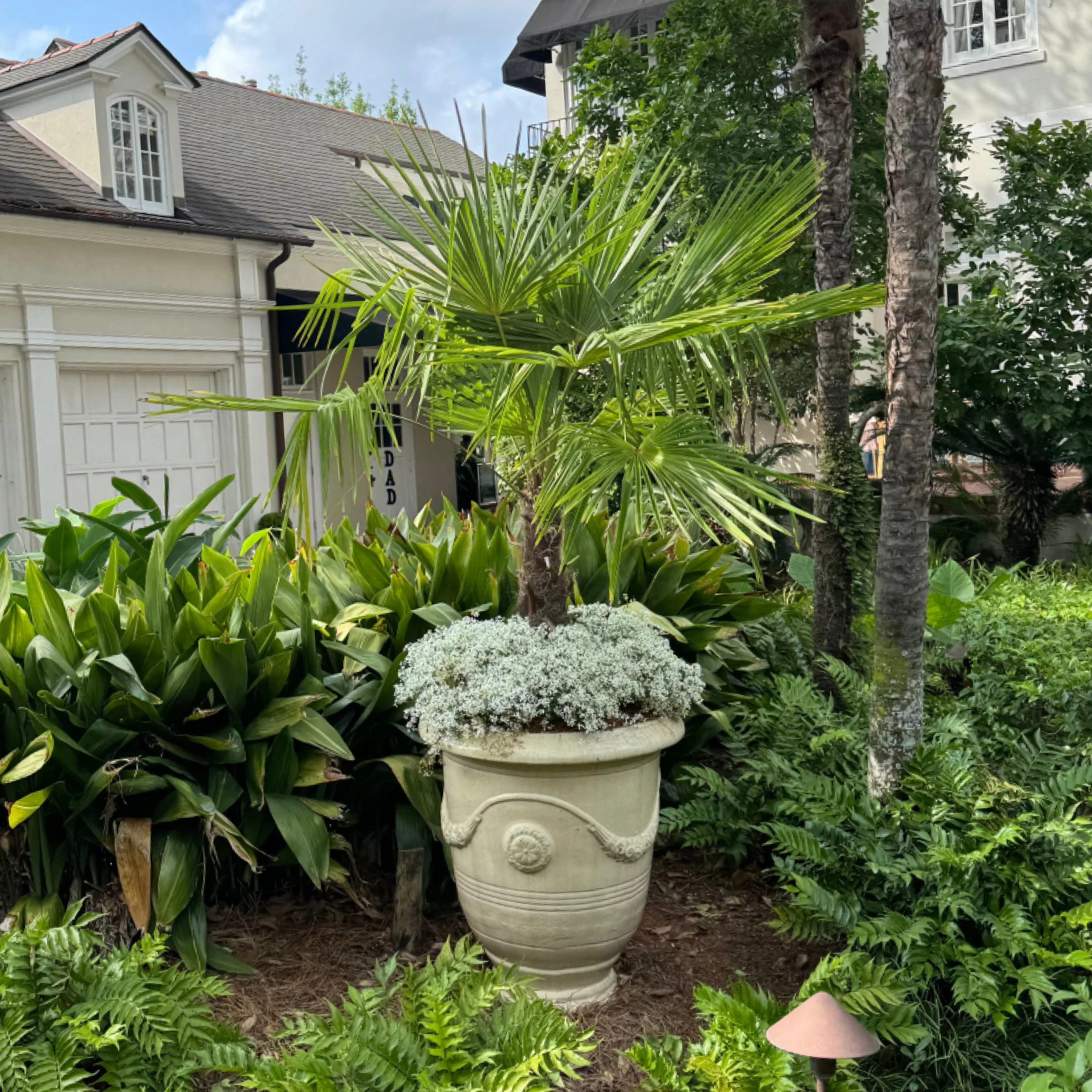 FEATURED IMAGE 1x1 Garden Club.jpg