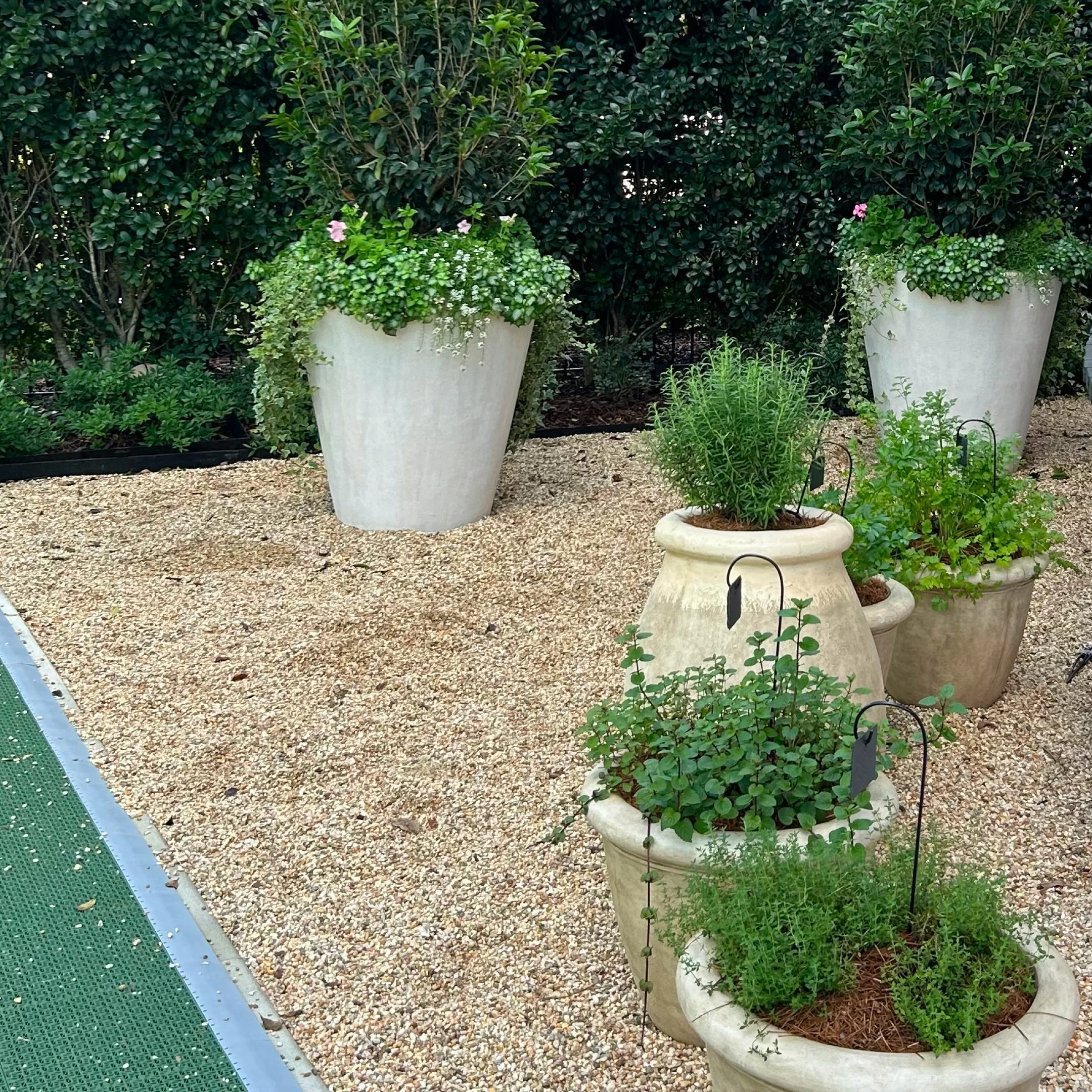 FEATURED IMAGE 1x1 Cornstalk-1.jpg