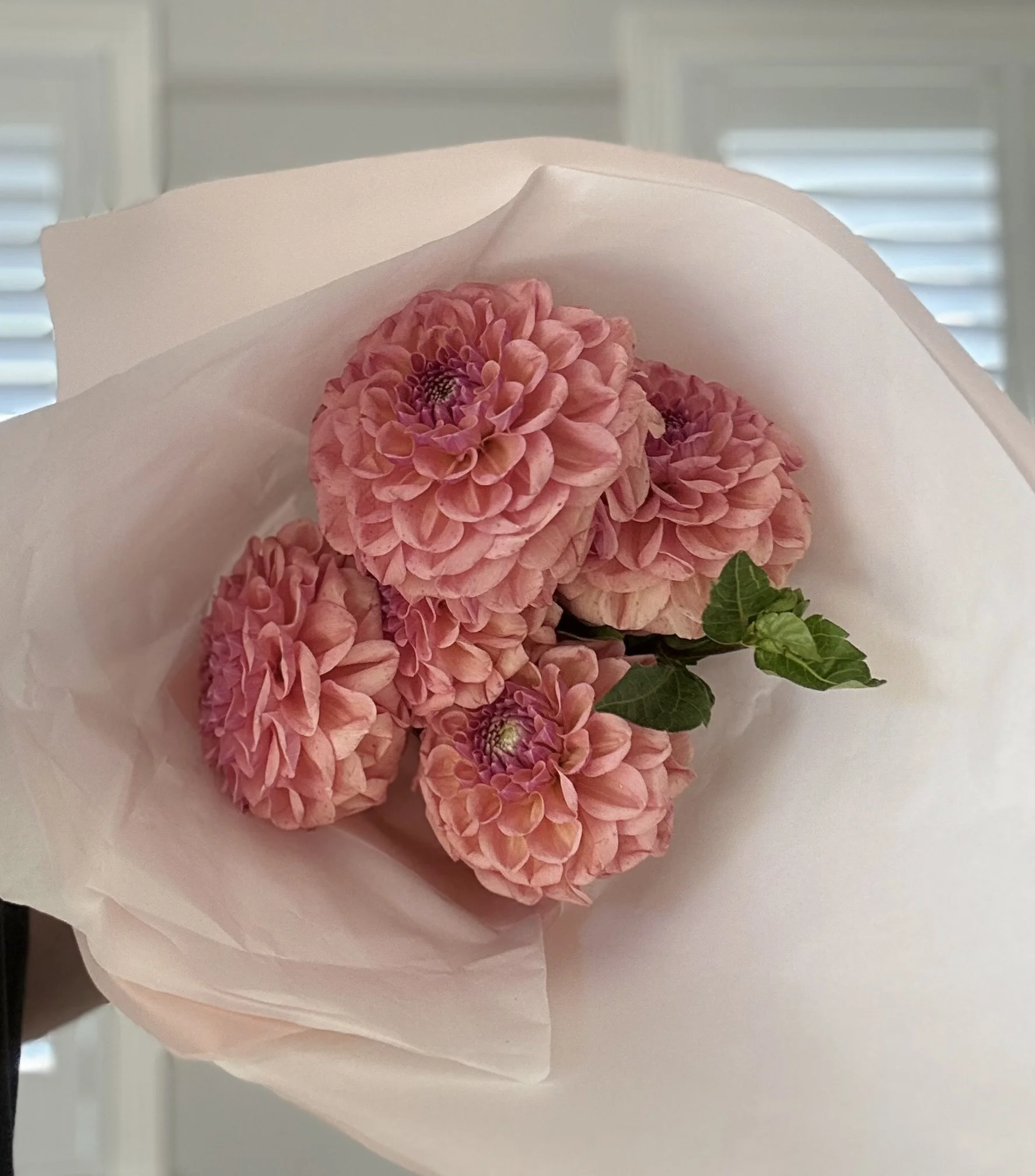 Pink Dahlia Bouquet Melton flower delivery.jpg