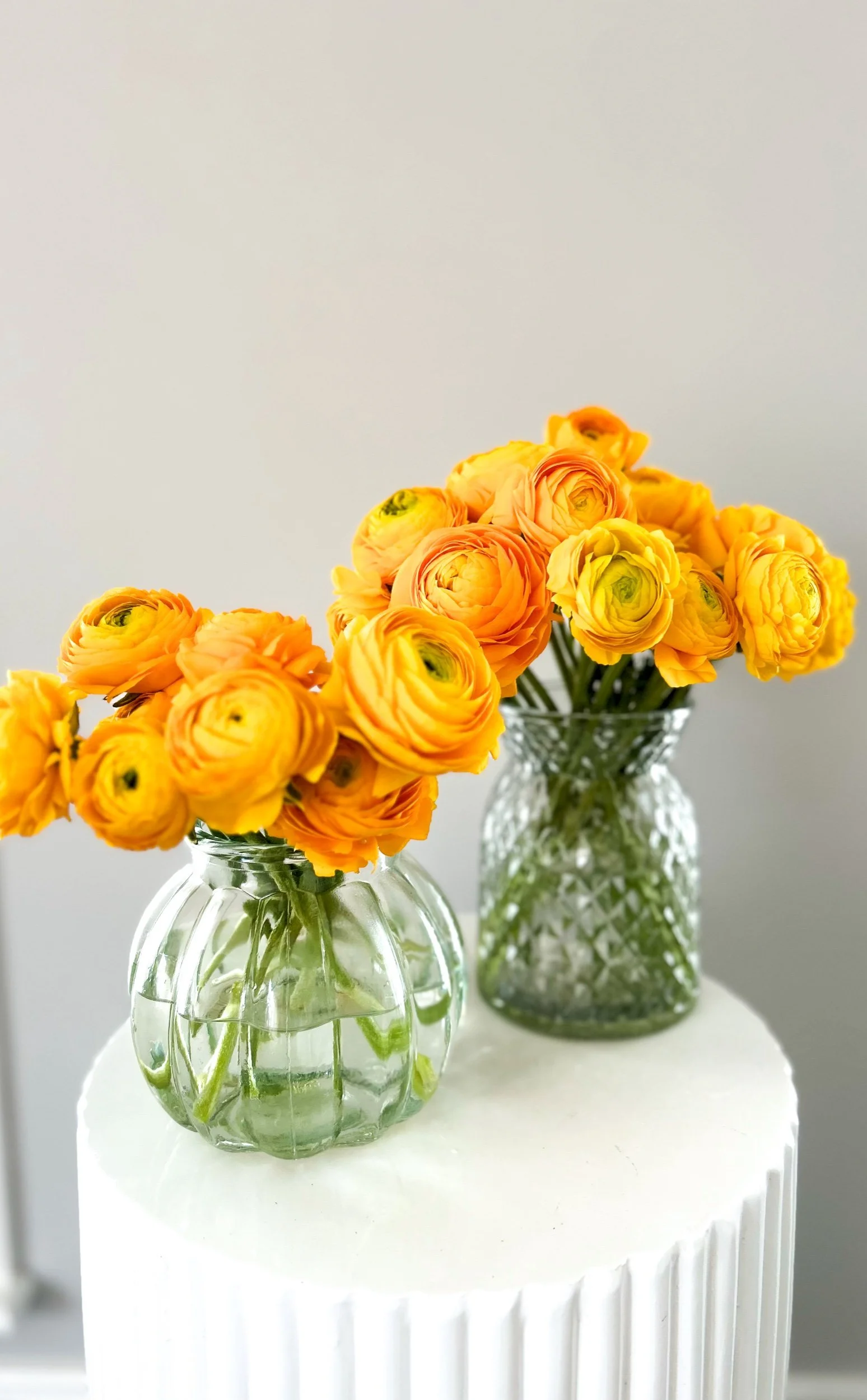 Yellow Ranunculus