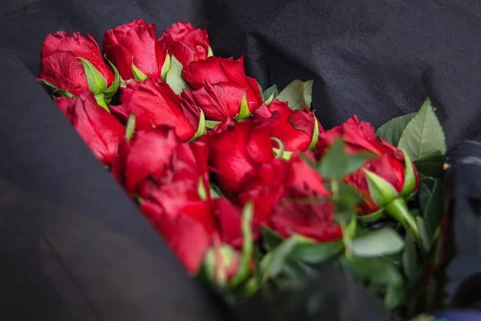 !2 Red Roses Valentines day Bacchus Marsh,Melton.jpeg