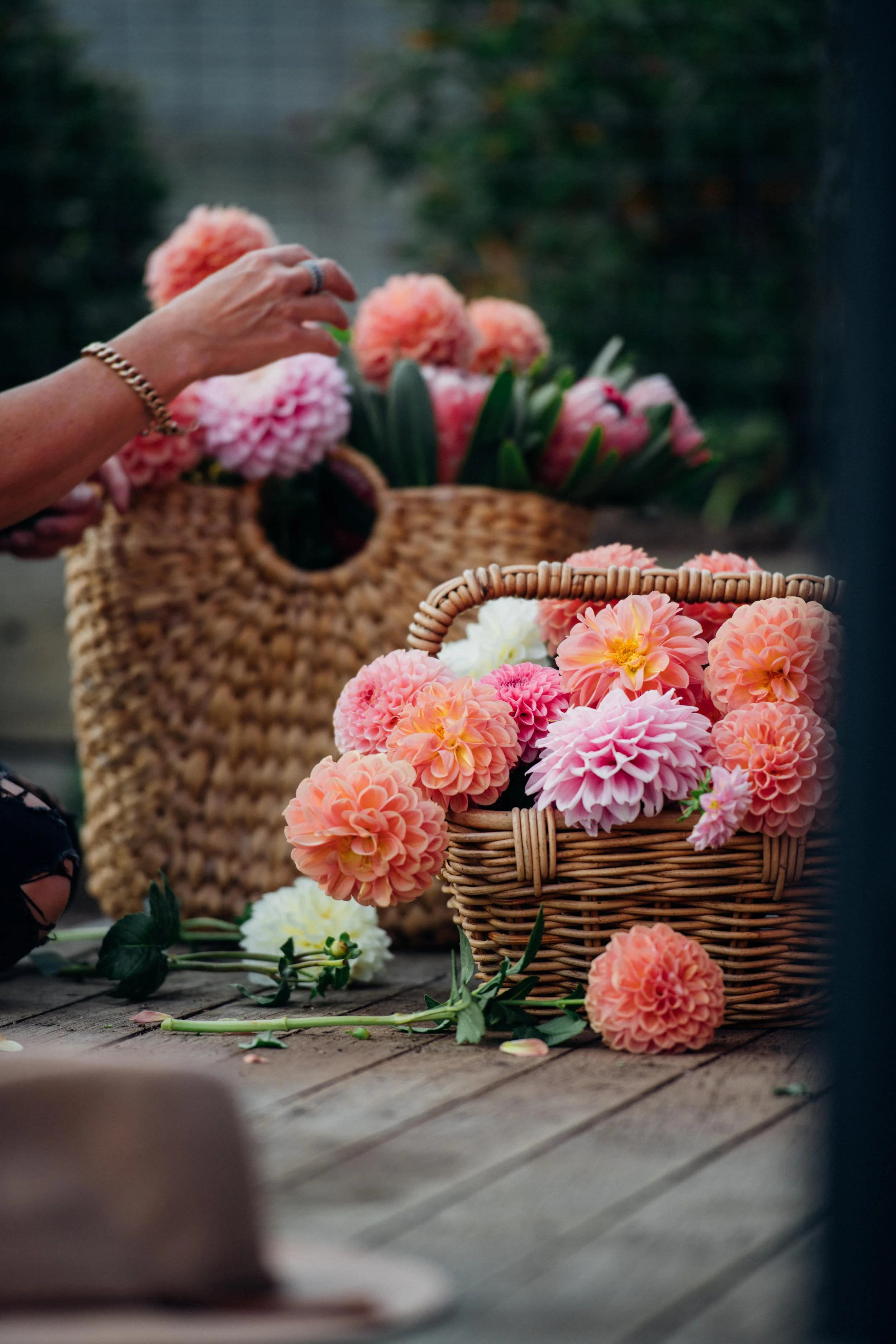 dahlias from local Bacchus Marsh florist