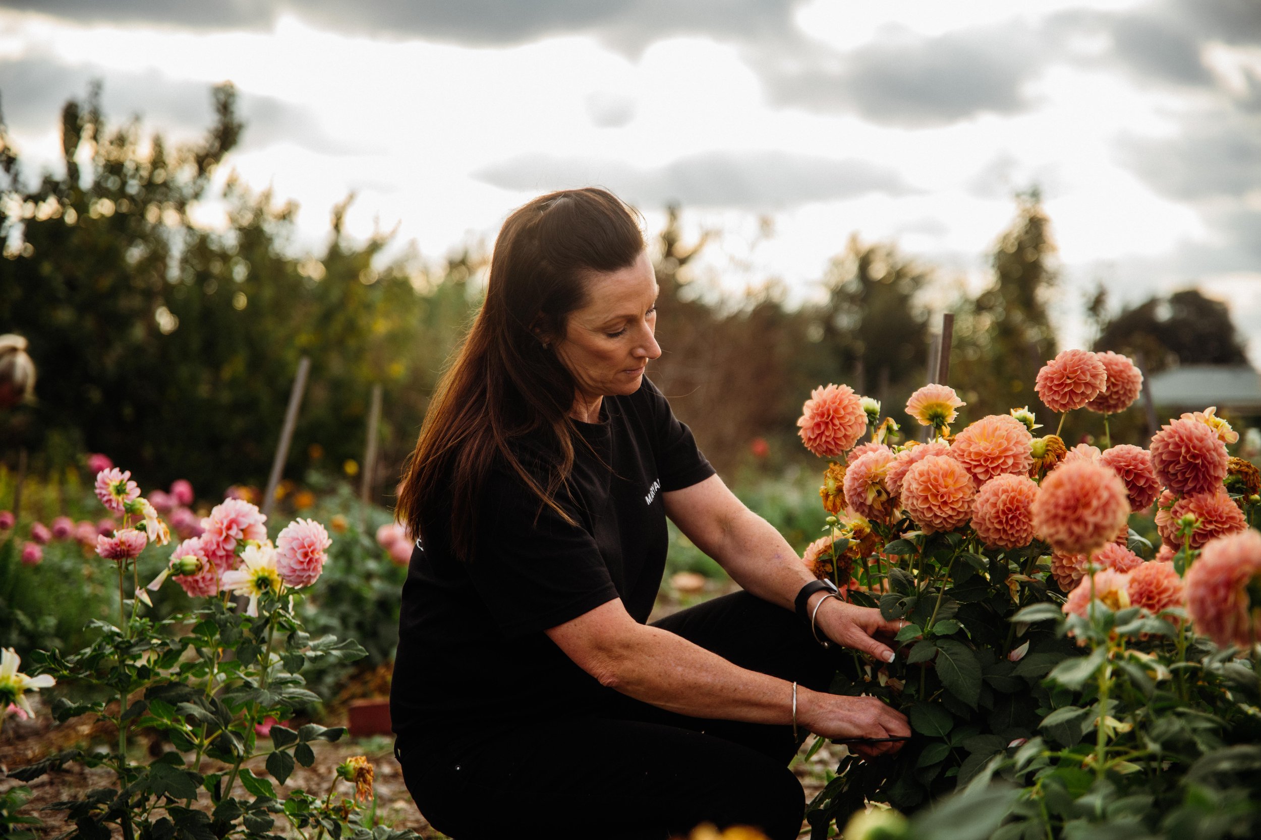 Top 5 Flowers in Season in Bacchus Marsh for Weddings – A Seasonal Guide to our Summer Flowers 
