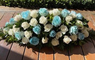 IMG_4694.jpeg
