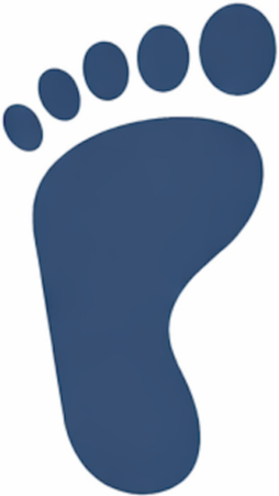 blue footprint icon.