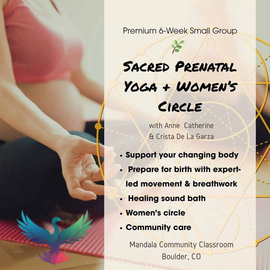 🌿 Now Enrolling: Sacred Prenatal Yoga + Women&rsquo;s Circle 🌿
✨ A premium 6-week small-group experience in Boulder designed to support your changing body, ease tension, and prepare you for birth&mdash;with movement, breathwork, education, and comm
