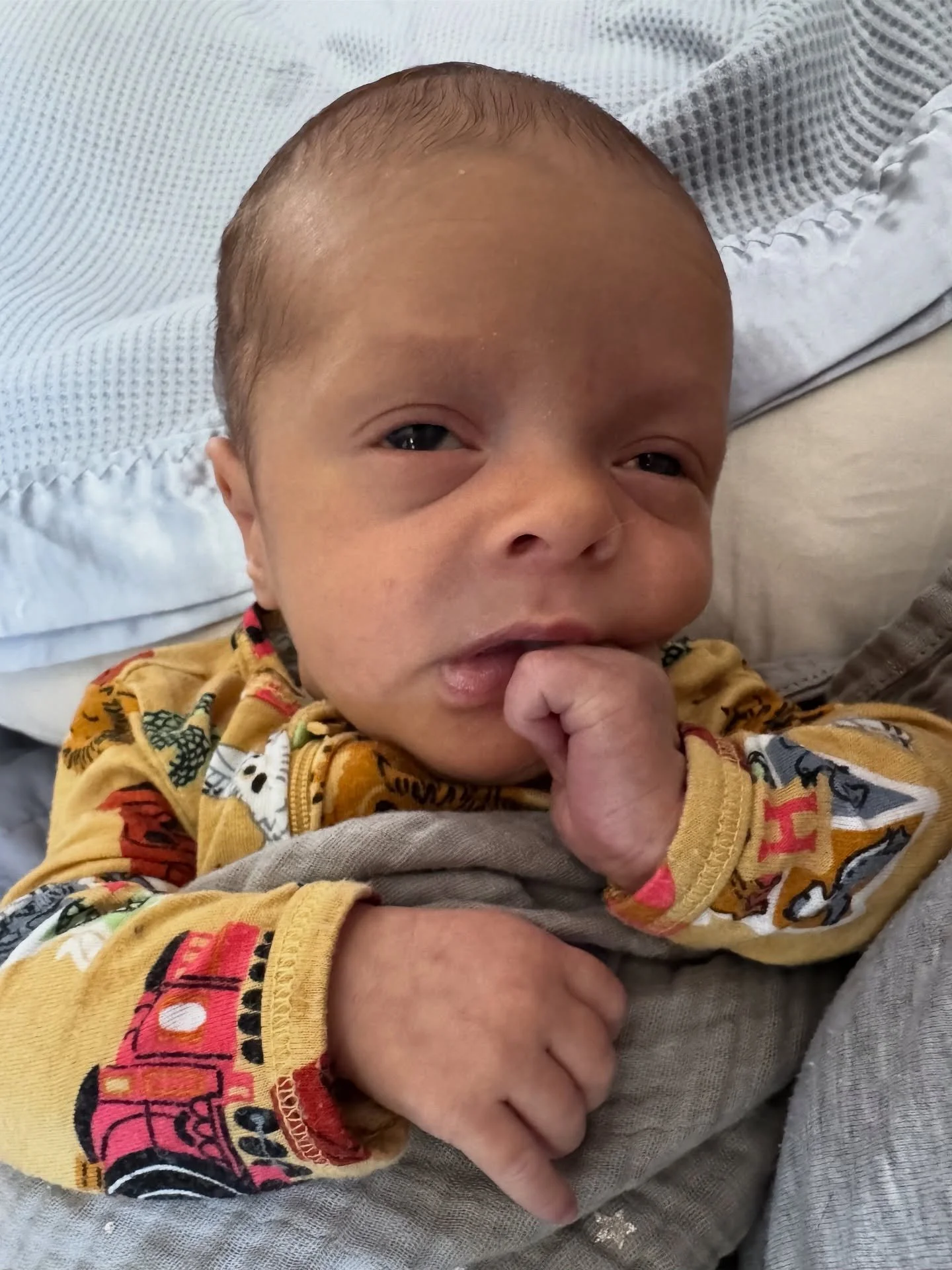 Hi friends 🌿
I&rsquo;ve been spending time helping care for my new baby nephew &mdash; and wow, sending massive respect to all of you with infants. They&rsquo;re so snuggly&hellip; and also a lot of work! 😅
Having raised two boys of my own, I&rsquo